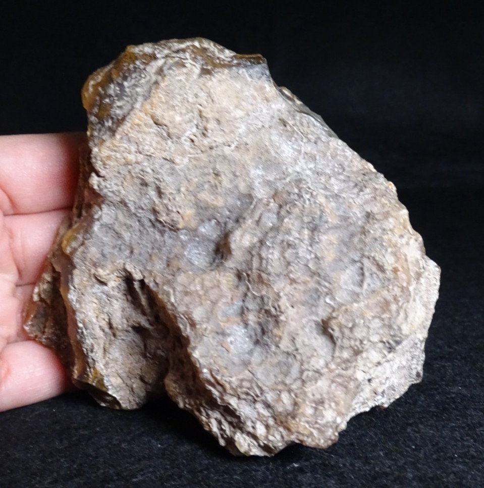 Turkish Agate Half Nodule Collector Specimen Turkey
