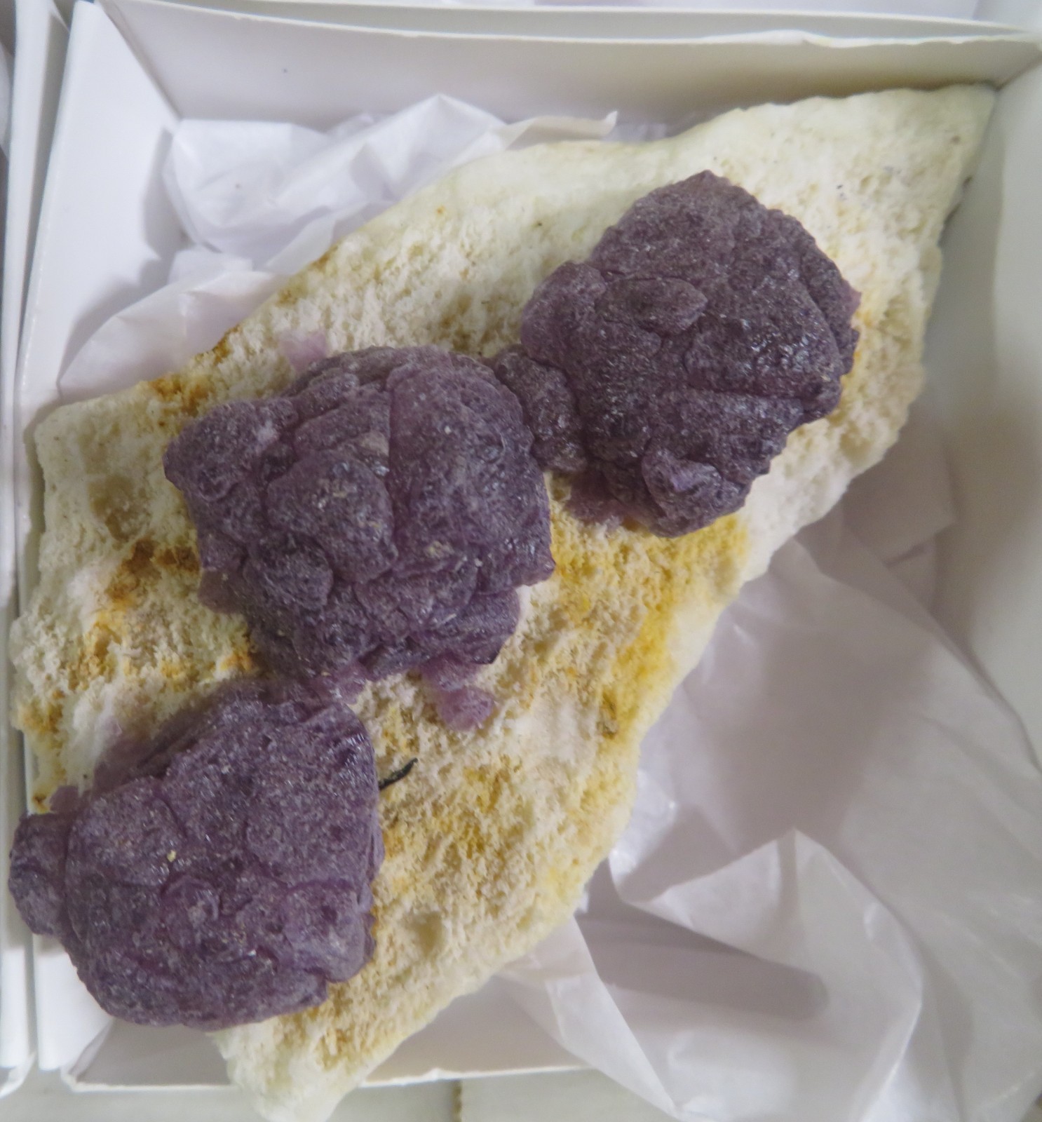 6 Piece Deep Purple Fluorite on Quartz Specimen Flat La Lupita Durango Mexico