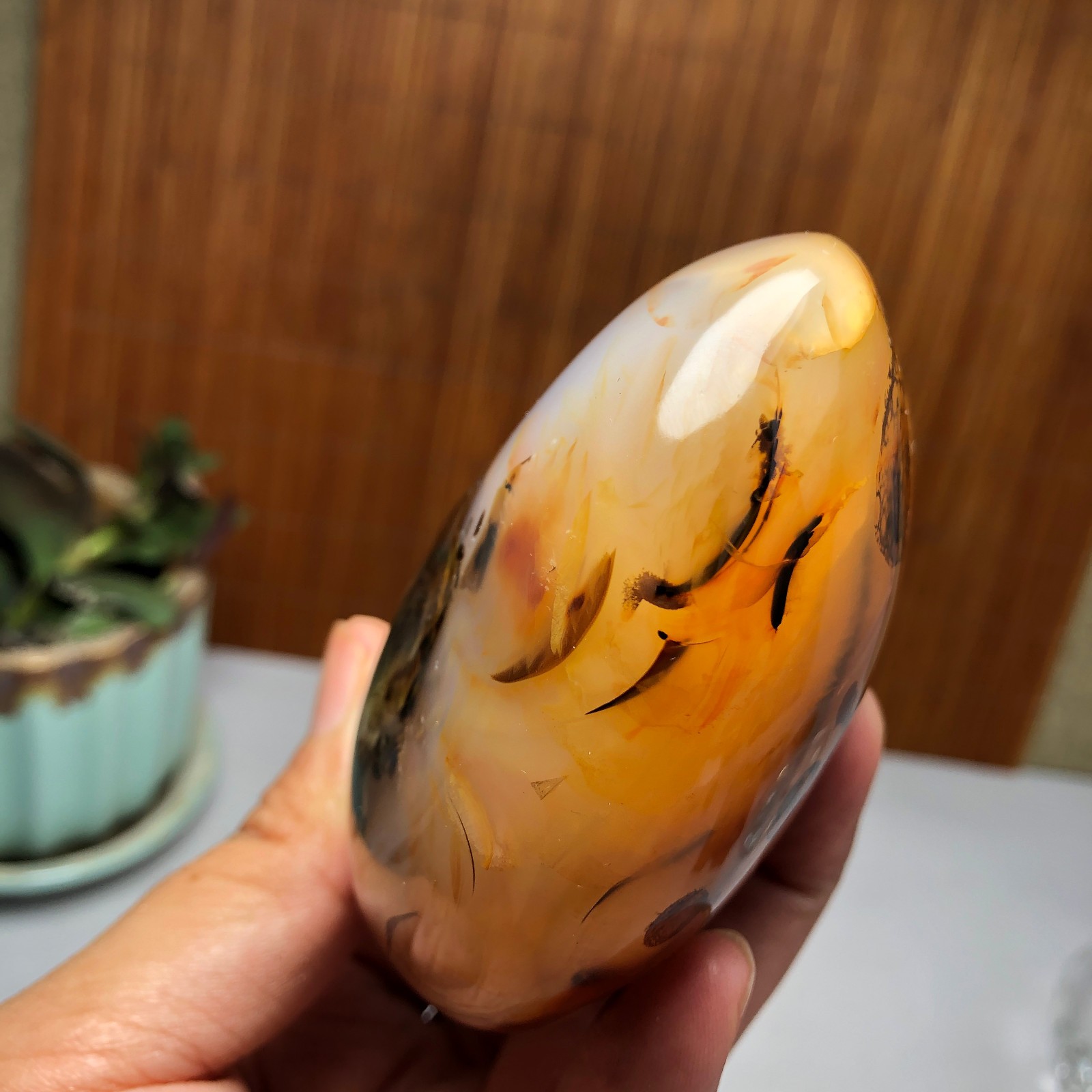Natural aquatic plants agate pretty Crystal specimens free standing 331g A9998
