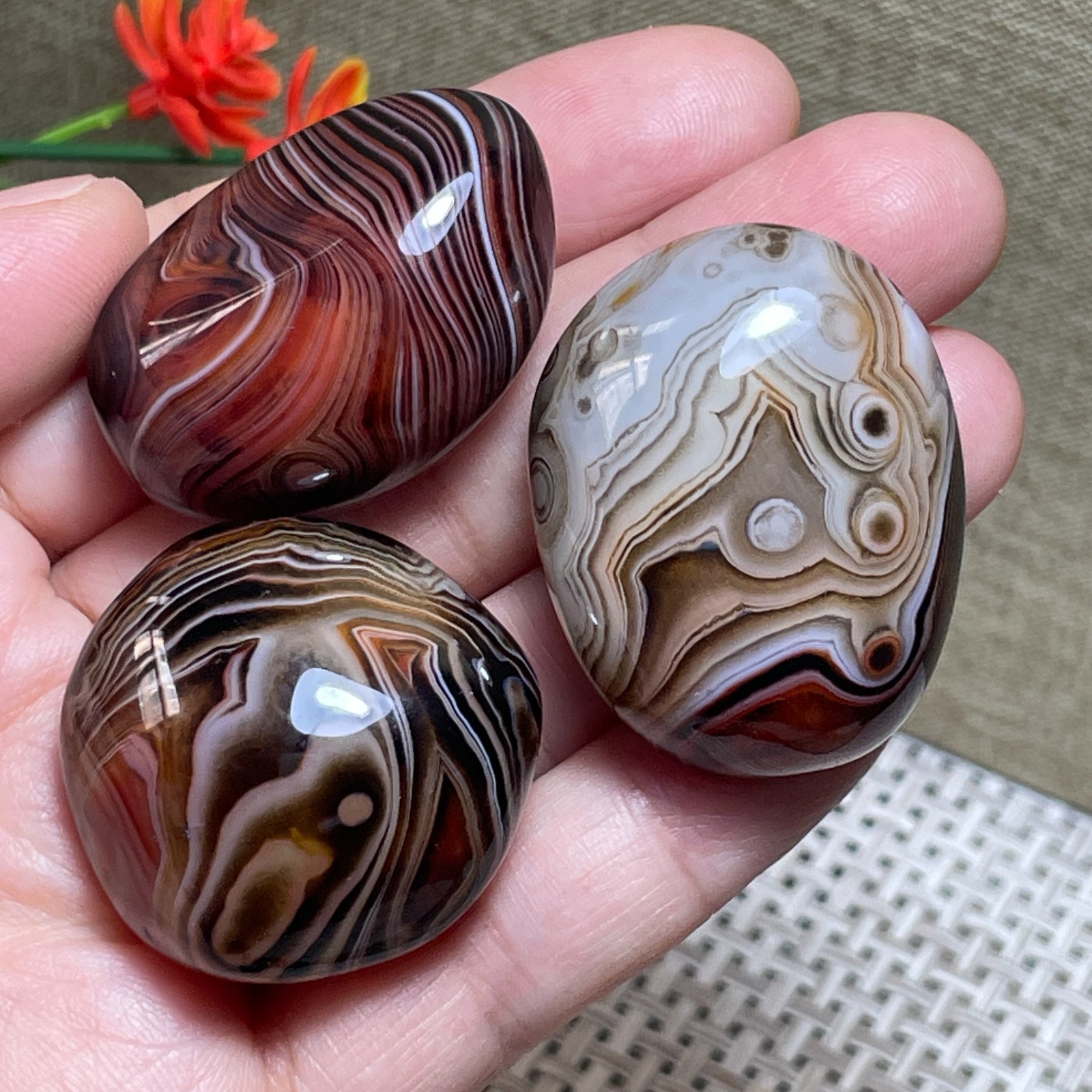 3pcs Crazy Lace SILK Banded Agate Polished Tumbled Stone Madagascar Decor 84g