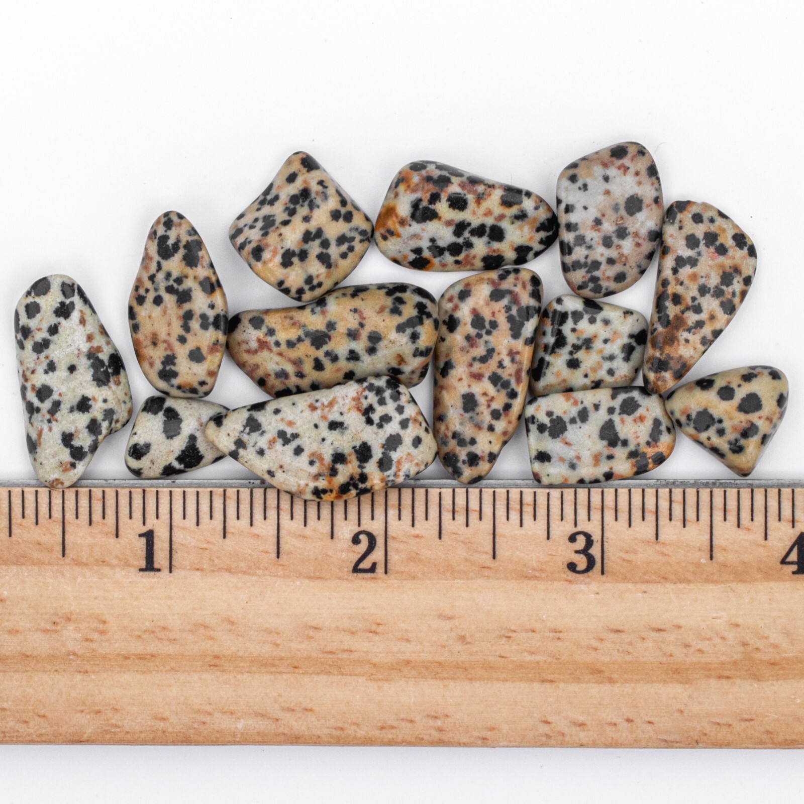 25g Tumbled Dalmatian Jasper Gemstone Crystals 10-20 Stones Bulk Gems Wholesale