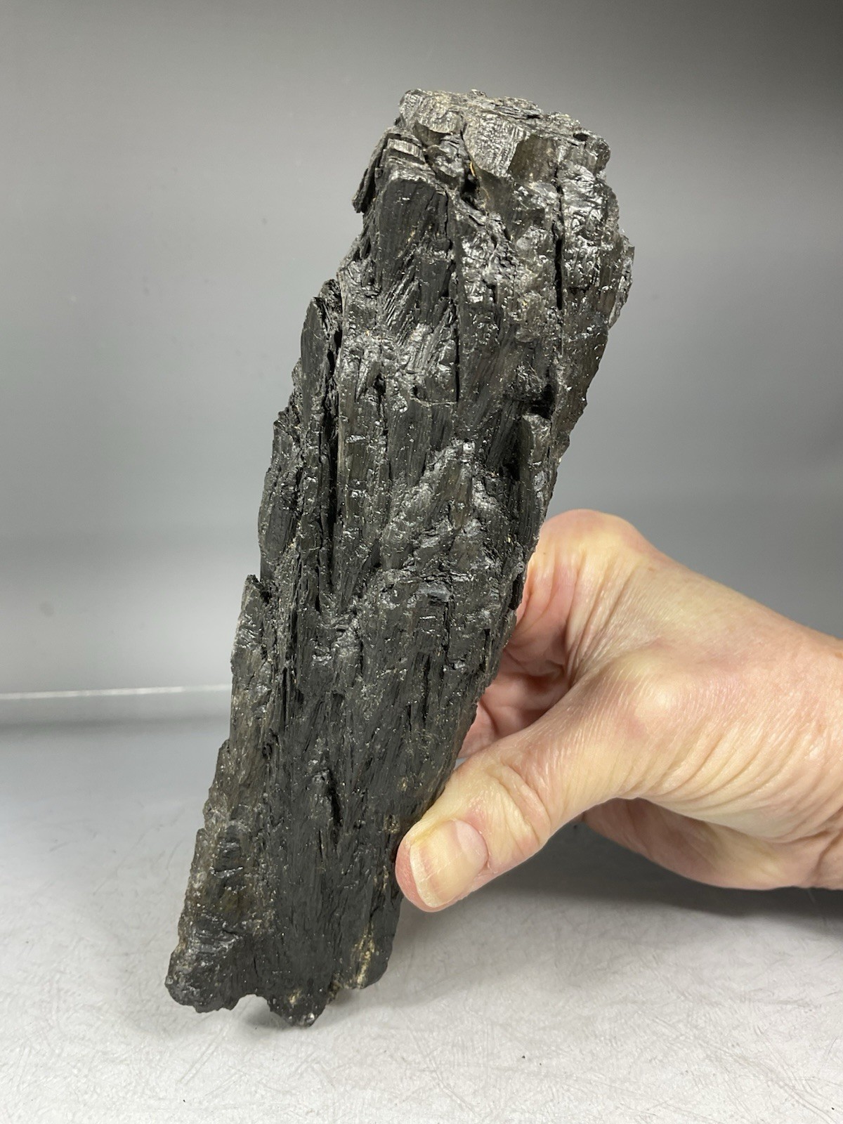 SS Rocks – Cone in Cone Structure “Calcite” (Jewel, Iowa) 389g ( 6 3/8″ )
