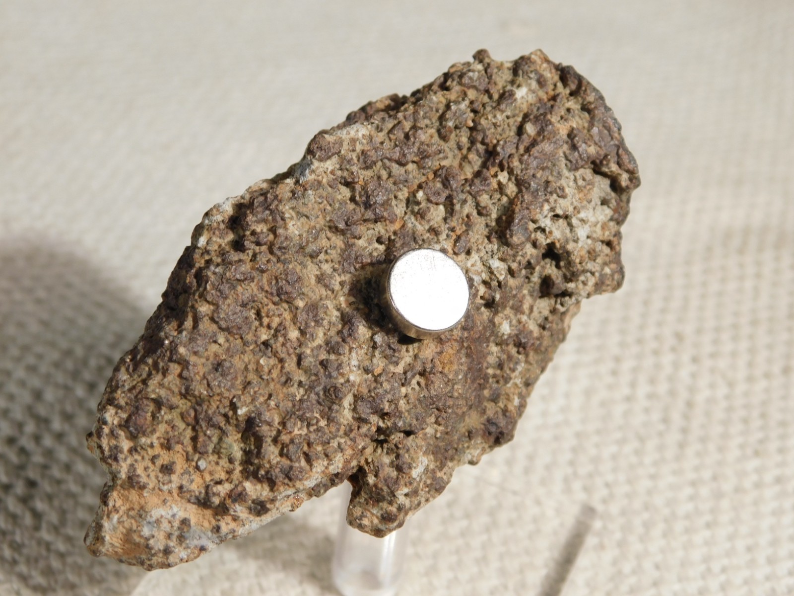 Classified NWA 8245 METEORITE Spots of Dark Fusion Crust! Erfoud, Morocco 136gr