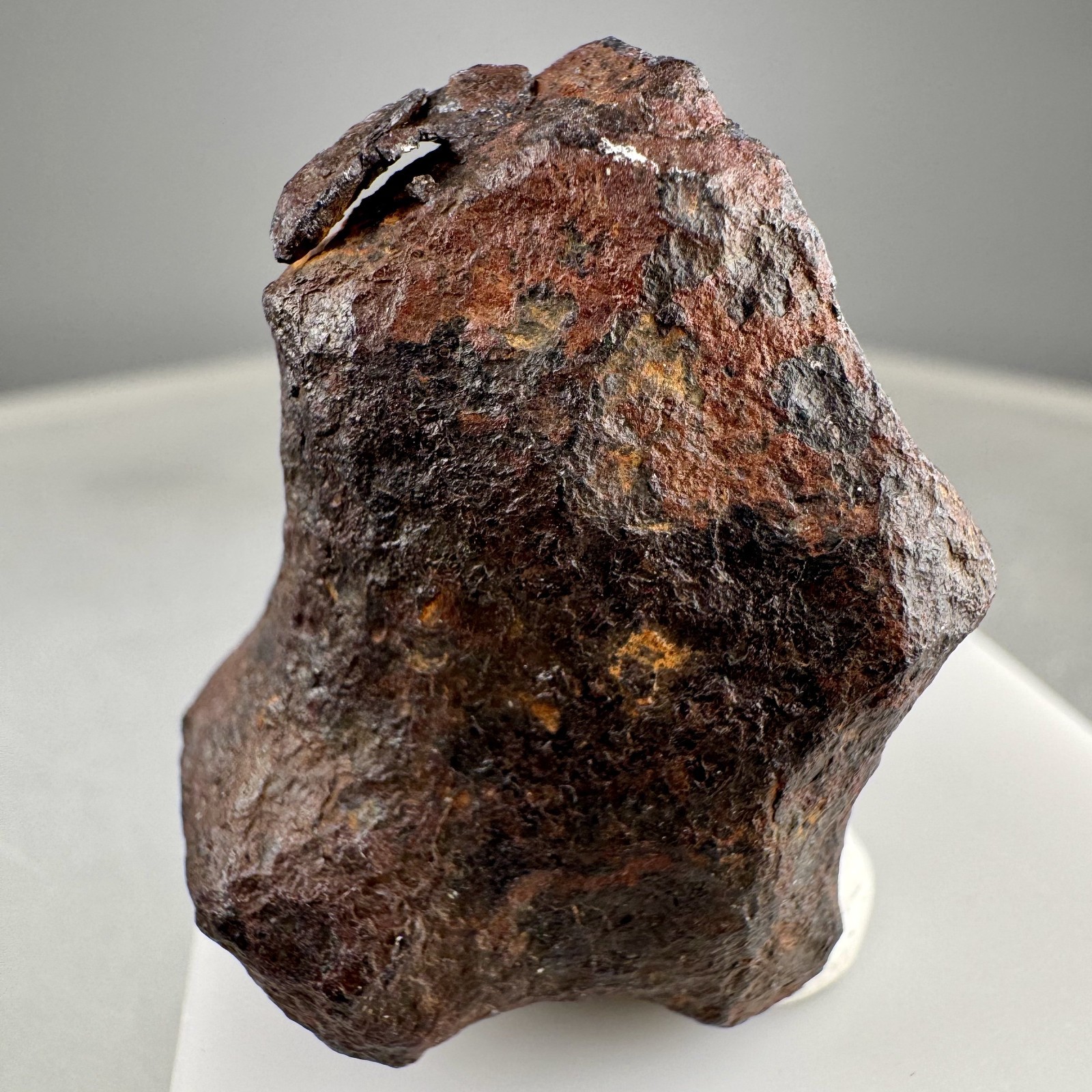 Iron Meteorite: Mundrabilla meteorite, Mundrabilla Roadhouse, Australia
