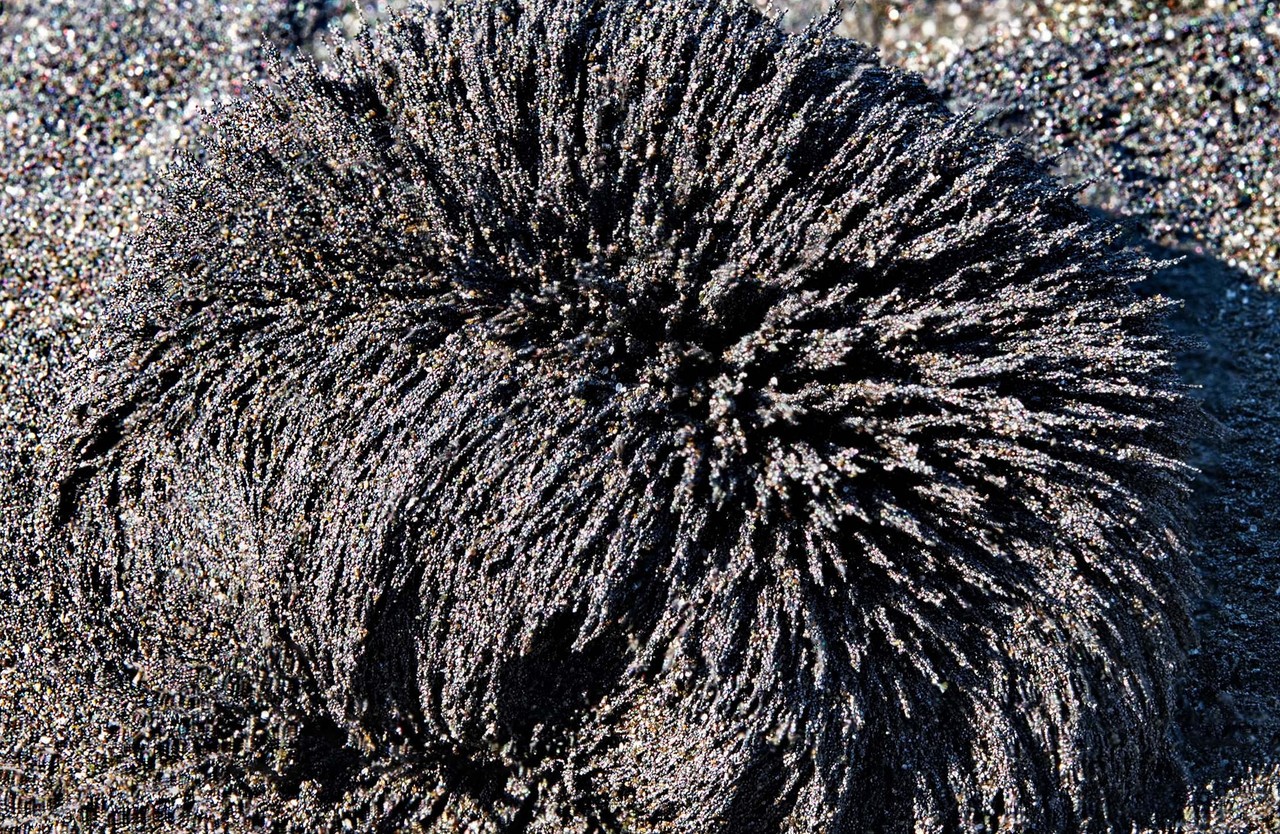 Lodestone Magnetite Food for Renewing Energy, Prosperity, Luck, Feeding Lodeston