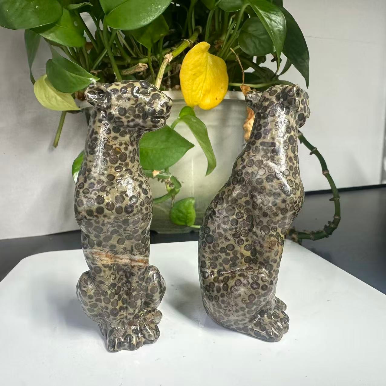 1pc Natural Money Leopard Stone Quartz Carved Leopard Skull Crystal Reiki Decor