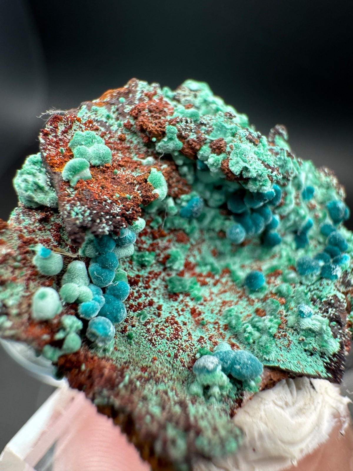 6757 Rosasite and Malachite on Matrix in Perky 8g Ojuela Mine, MX