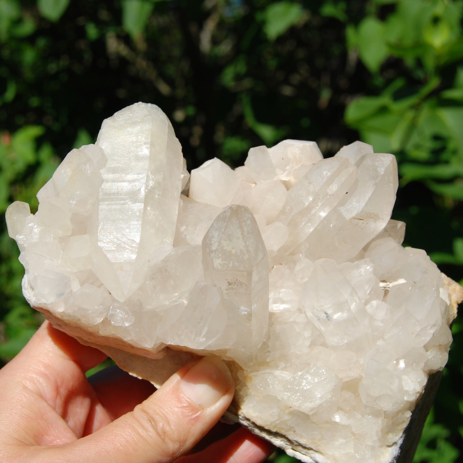 2lb 6.5in Large Clear Quartz Crystal Cluster, Zambia zc1