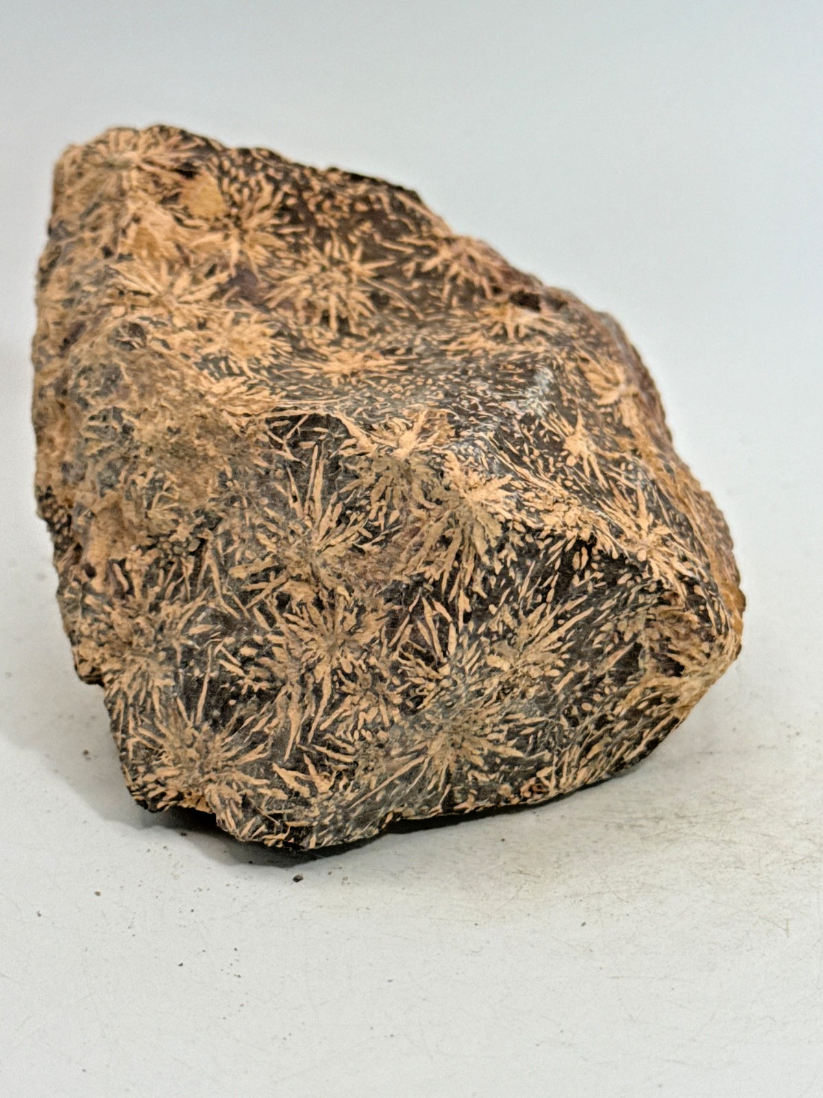 Beautiful Spider Jasper Chrysanthemum Specimen 430 Grams