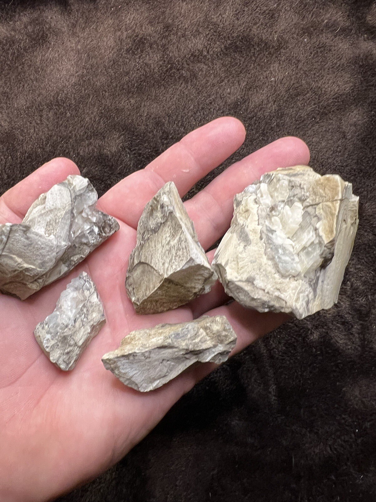 raw natural quartz crystal North East Mississippi Outcrop 5 Pieces