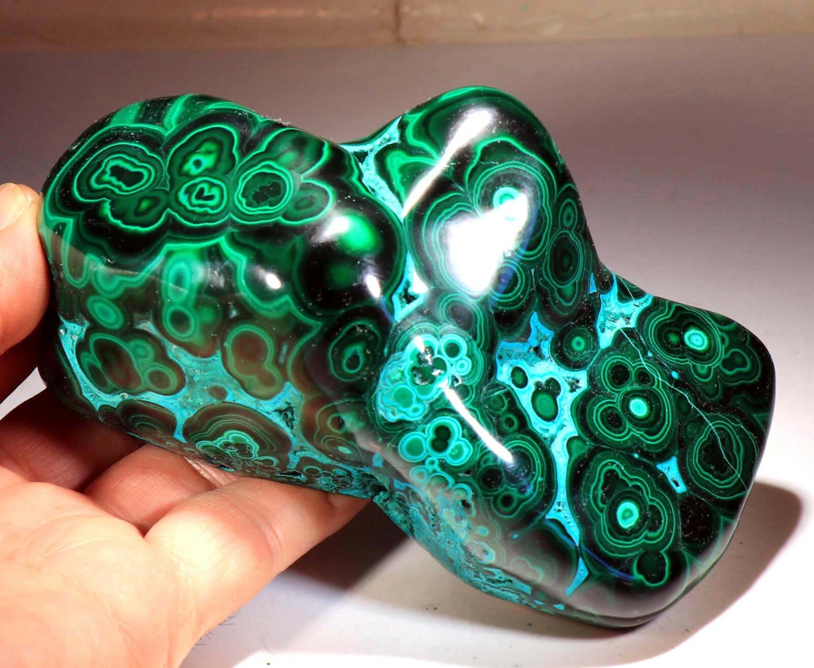 5.25″ Top Quality Vivid Green Malachite w/Blue Chrysocolla , Congo! CR822
