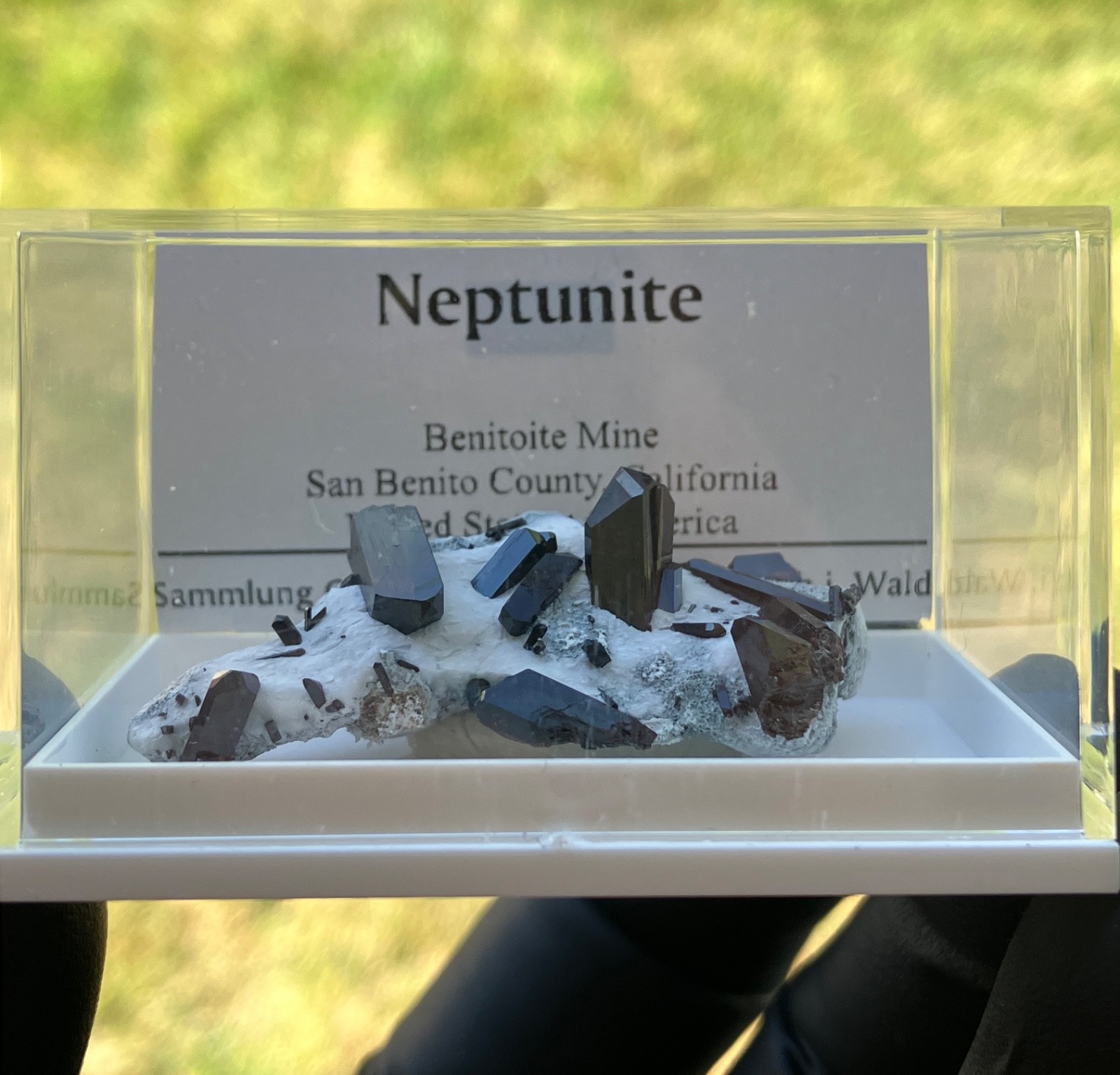 Neptunite Benitoite Mine, New Idria District, San Benito County, California, USA