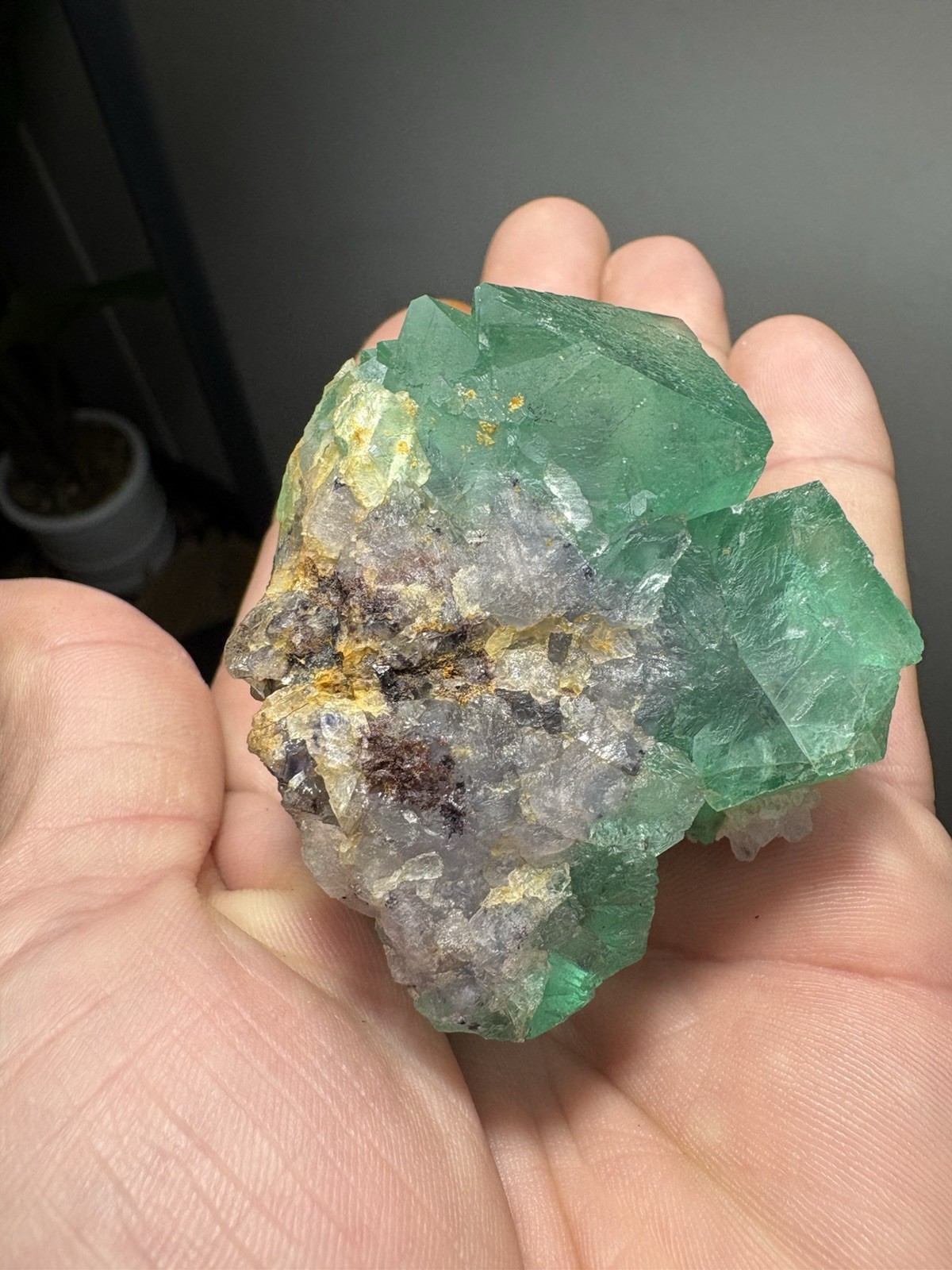 Natural Neon Green Fluorite Octahedron Cluster Riemvasmaak South Africa Nice