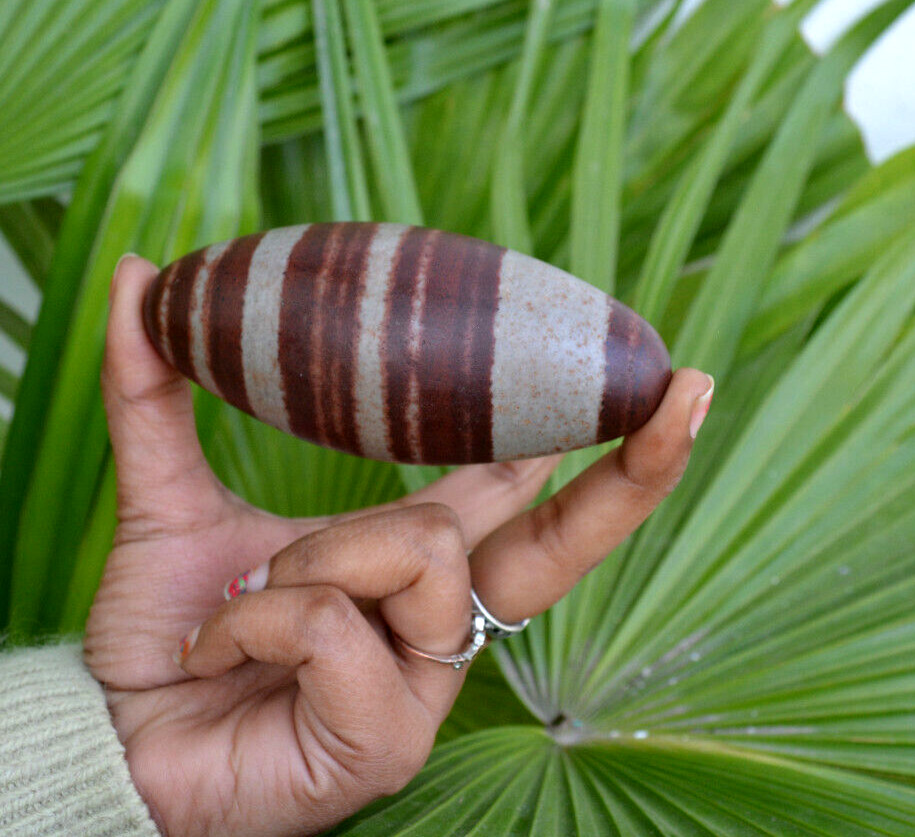 Shiva Lingam Polished Stone | Narmarda River Stone -1126