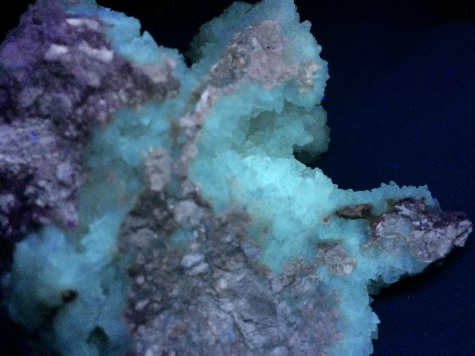 KB: BRIGHT CABINET SW & LW FL. BLUE/WHITE COLEMANITE XLS., KERN CO., CALIFORNIA