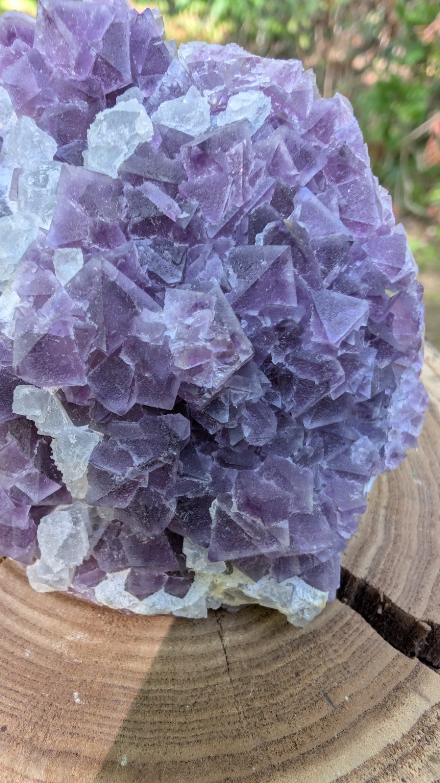Purple Octahedral Fluorite W/ Light Blue Crystals From De’an Mine Jiangxi China