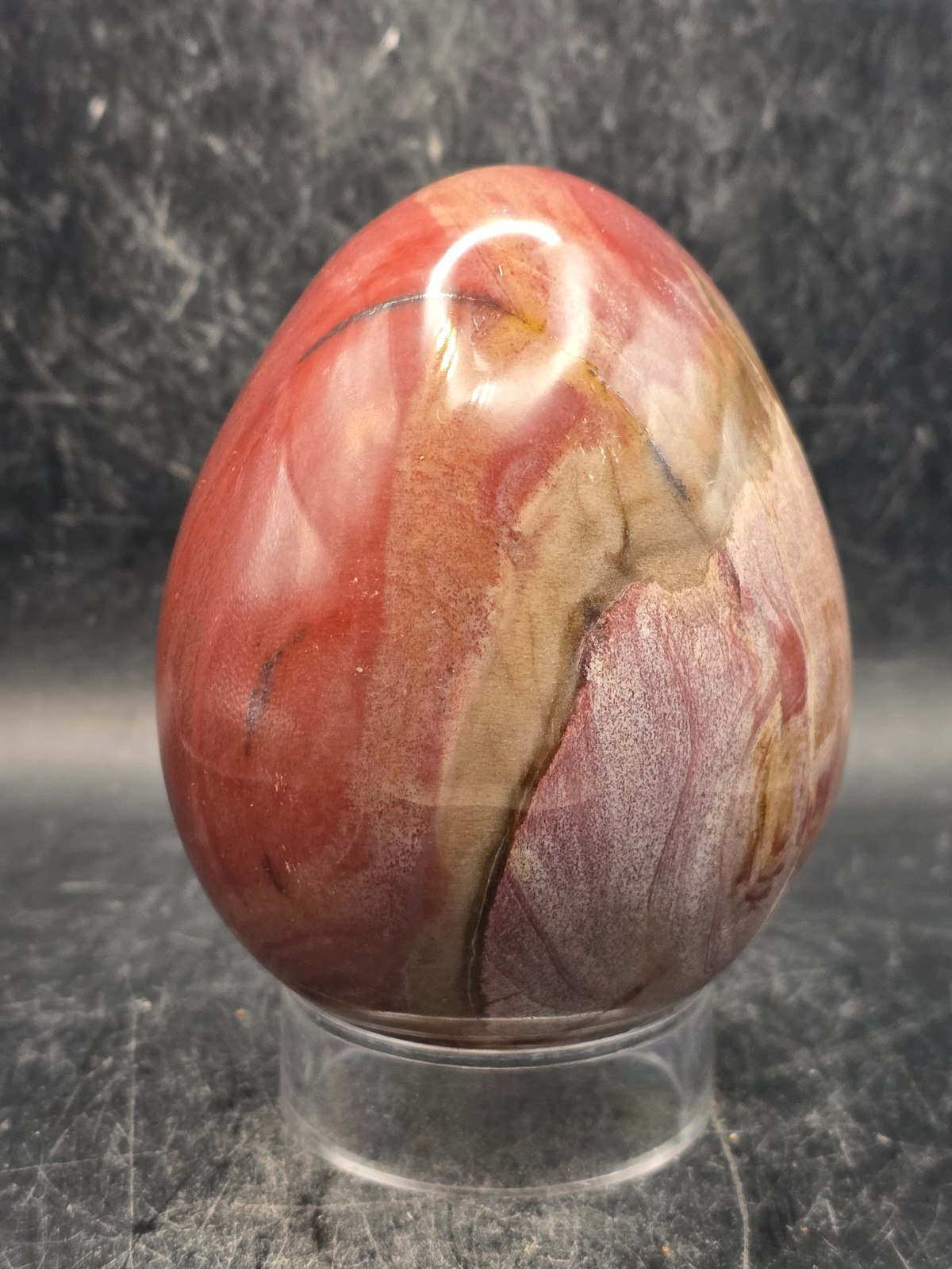 Petrified wood egg! 1.2 pounds, 3.3 inches tall, 2.6 inches wide