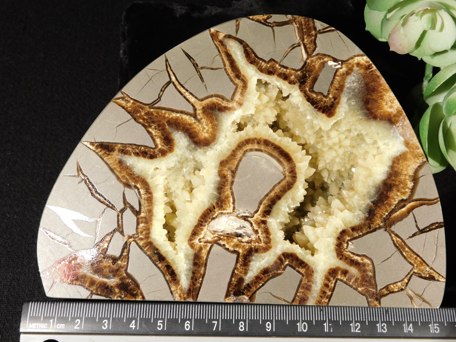 Larger! Polished AAA Crystal Filled Septarian GEODE FREE Standing Utah 852gr