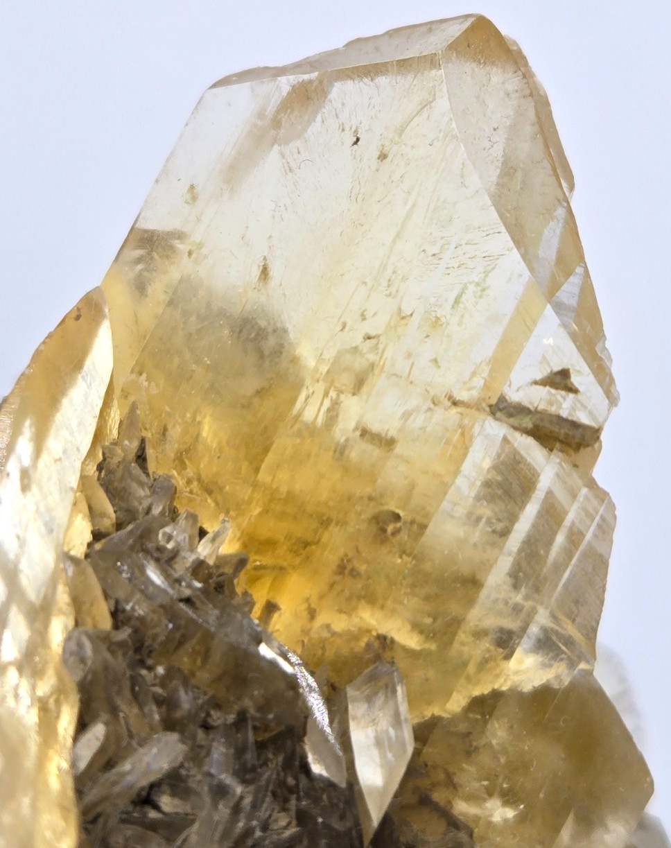 +++ GYPSUM VAR. SELENITE RED RIVER FLOODWAY, WINNIPEG, MANITOBA, CANADA +++
