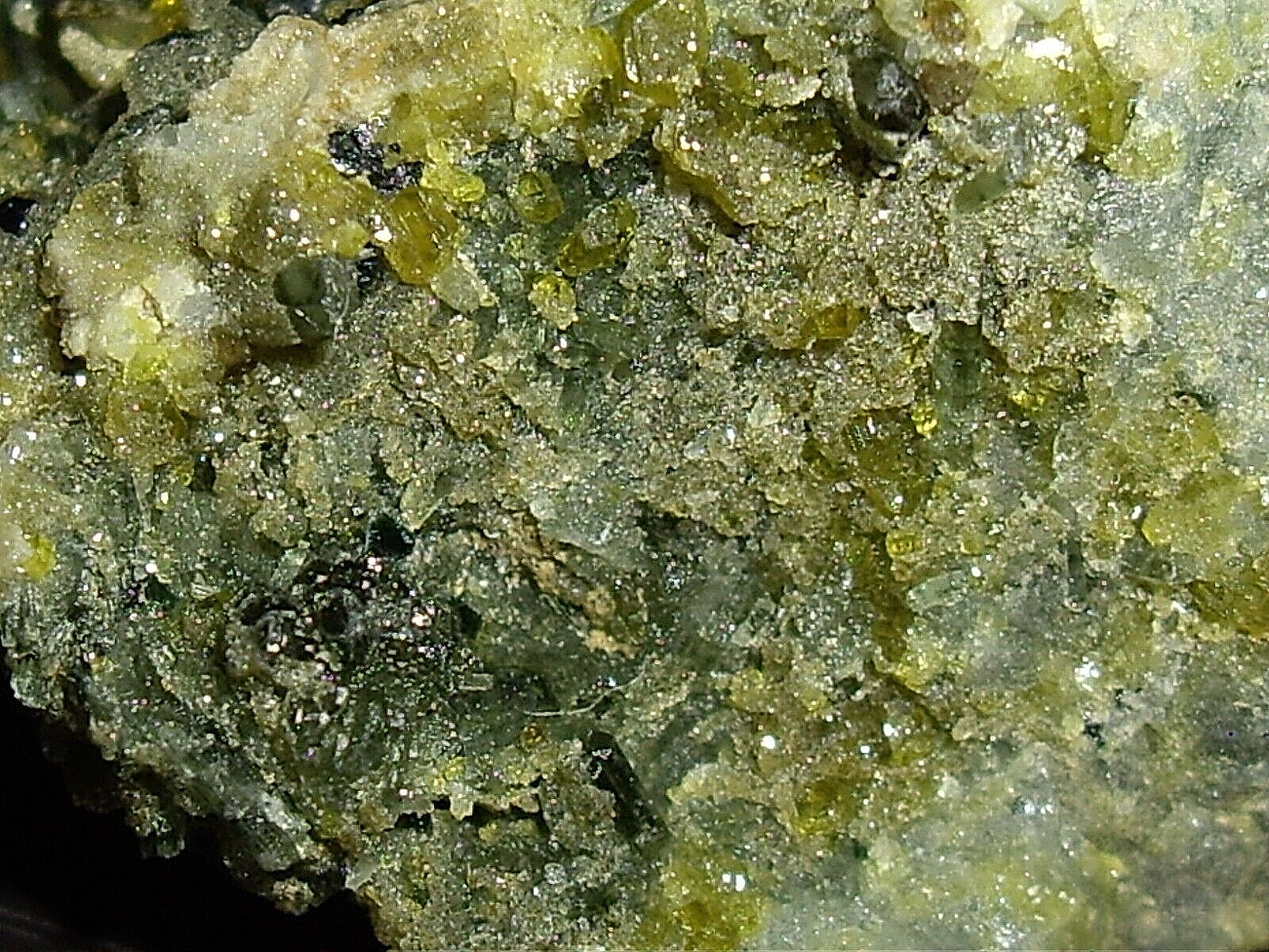 Awesome Magnetite, Vesuvianite, Garnet, and Diopside Crystals on Matrix 23.3g