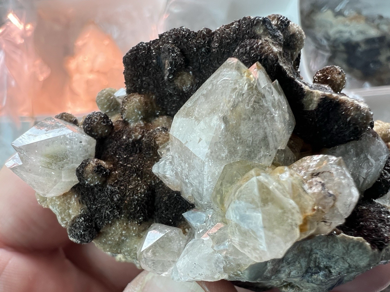 12 Quartz & Siderite Specimens – Potosí Mine, Santa Eulalia, Chihuahua, Mexico