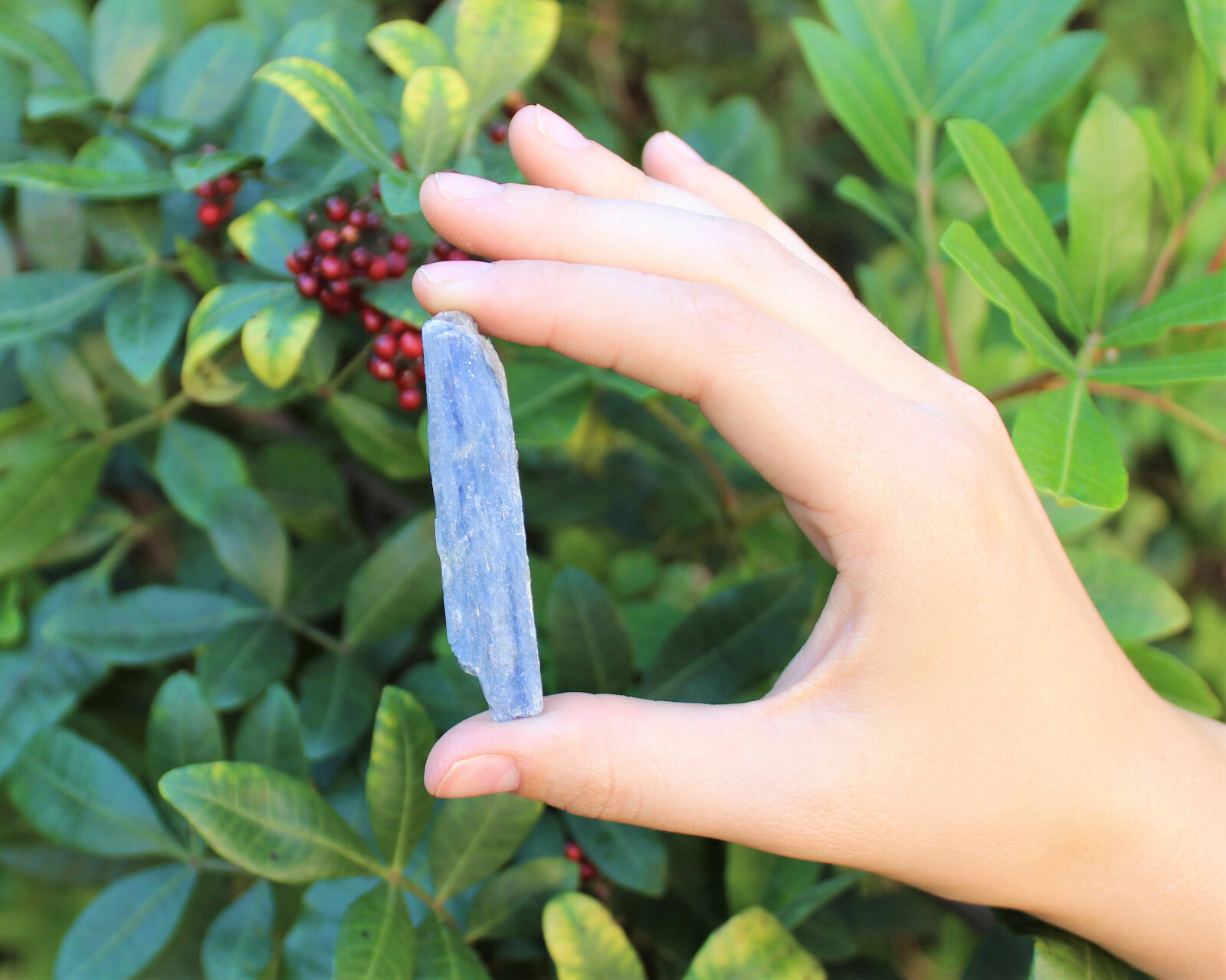 Lot of 3 Blue Kyanite Blades 1″ – 1.5″ (Crystal Rough Natural)