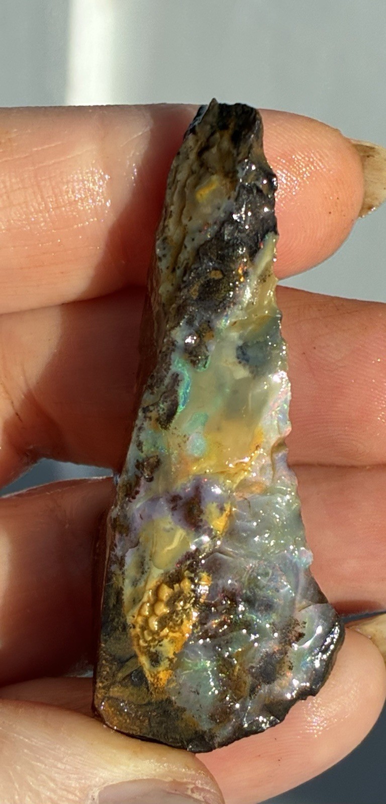 Beautiful 89ct Large Australian Boulder Opal Rough Loose Multicolor Specimen J