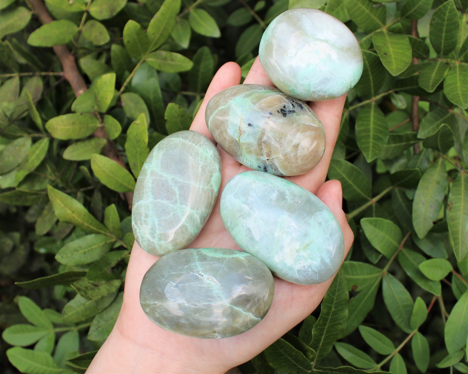 Garnierite Hand Polished Stones: Green Moonstone Pebbles, Palm Stone, Crystal