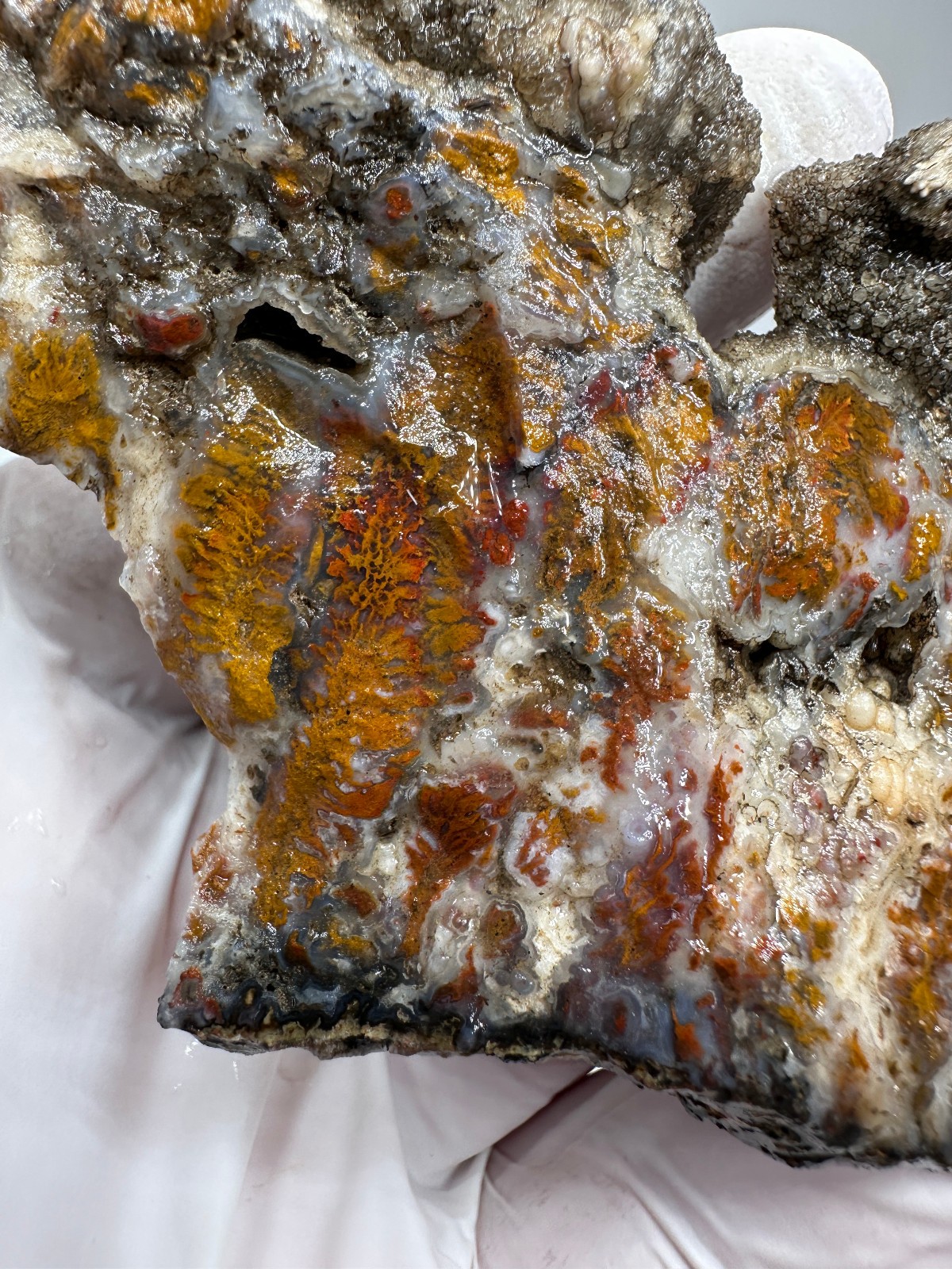 RARE Wingate Pass Plume Agate End-Cut Slab (a.k.a. Death Valley Plume)