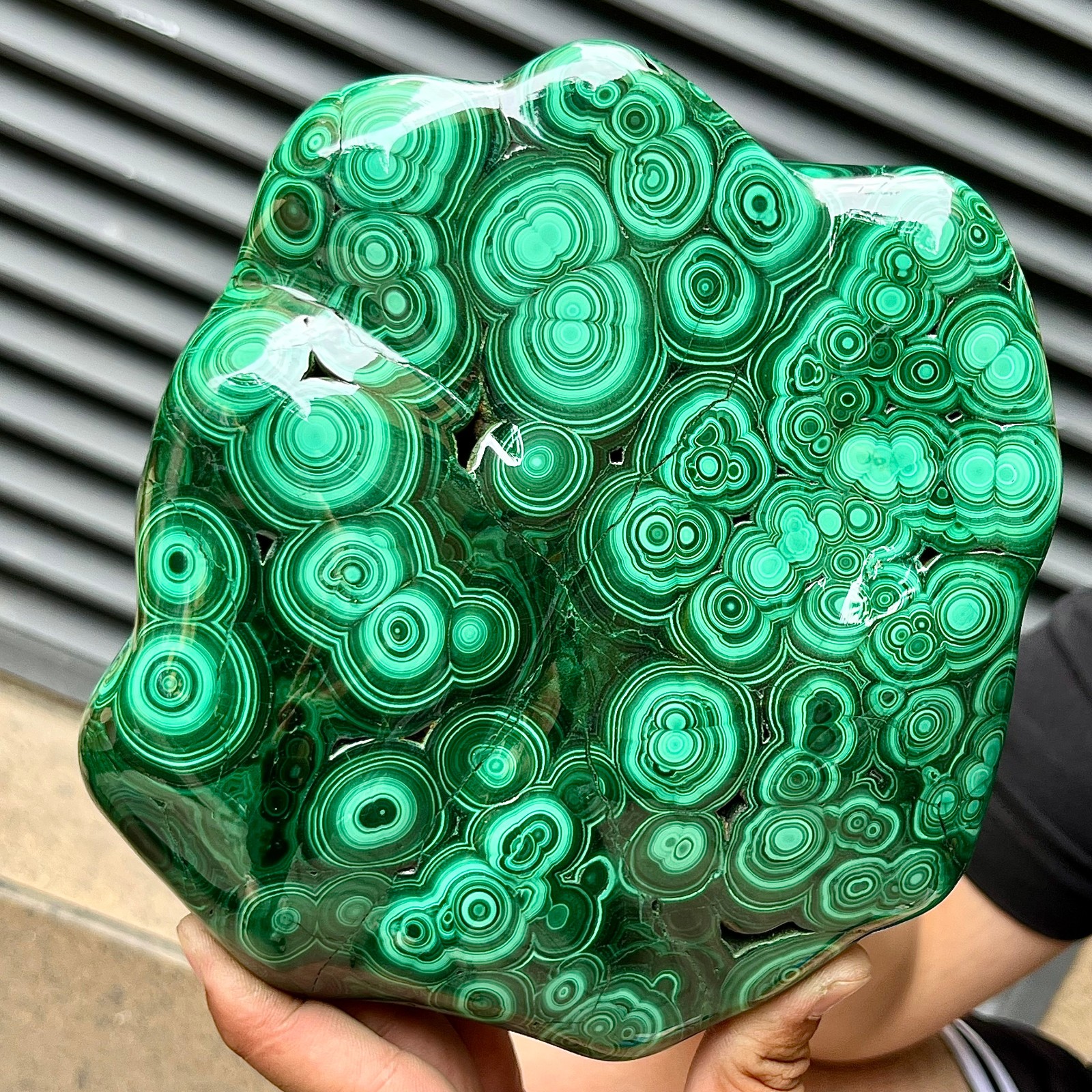 Natural Malachite Stone Polished Slab Bull Eye Pattern Display Decor 7.1 lb