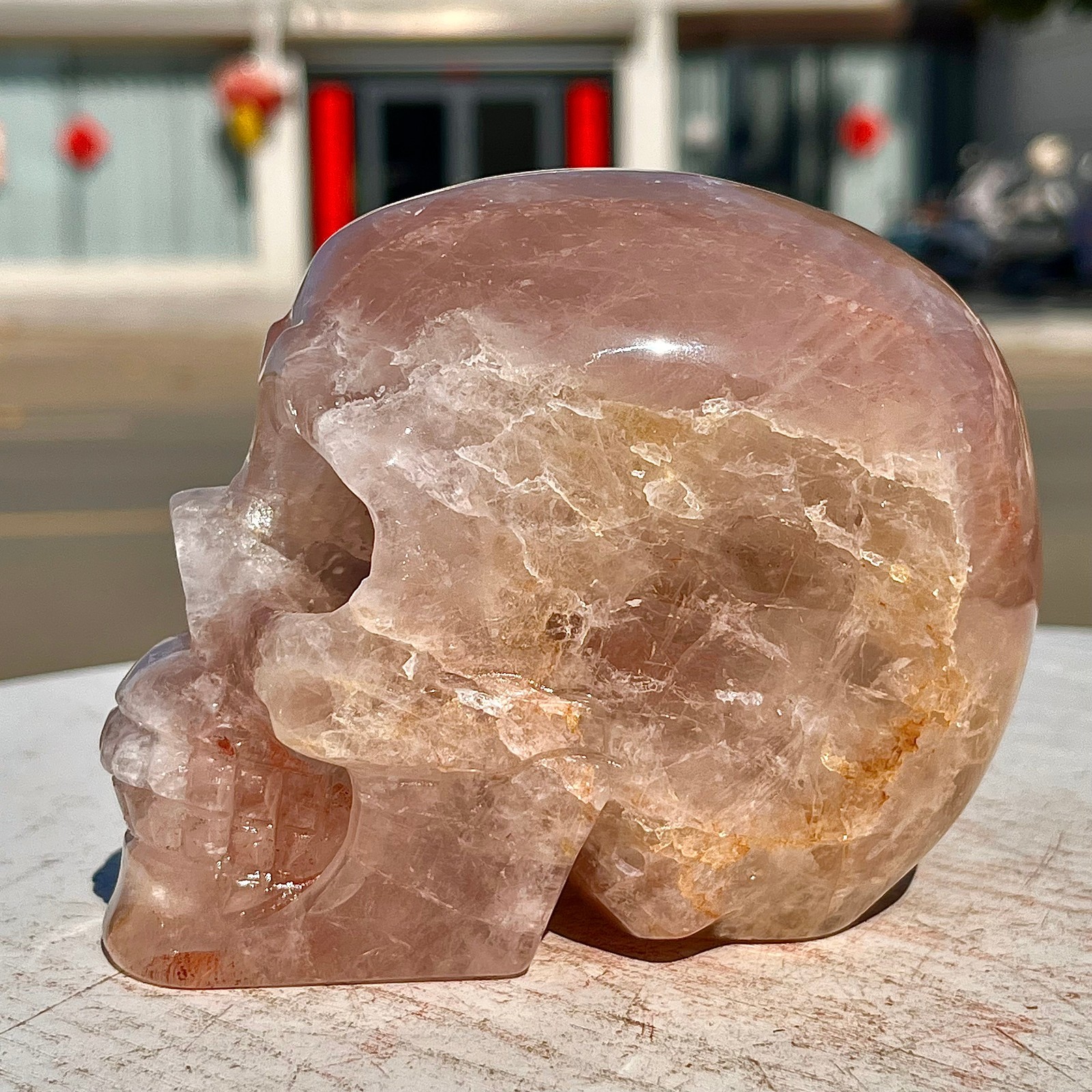 2.71LB Red Gum Flower Skull Carving | Handmade Carving | Healing Energy