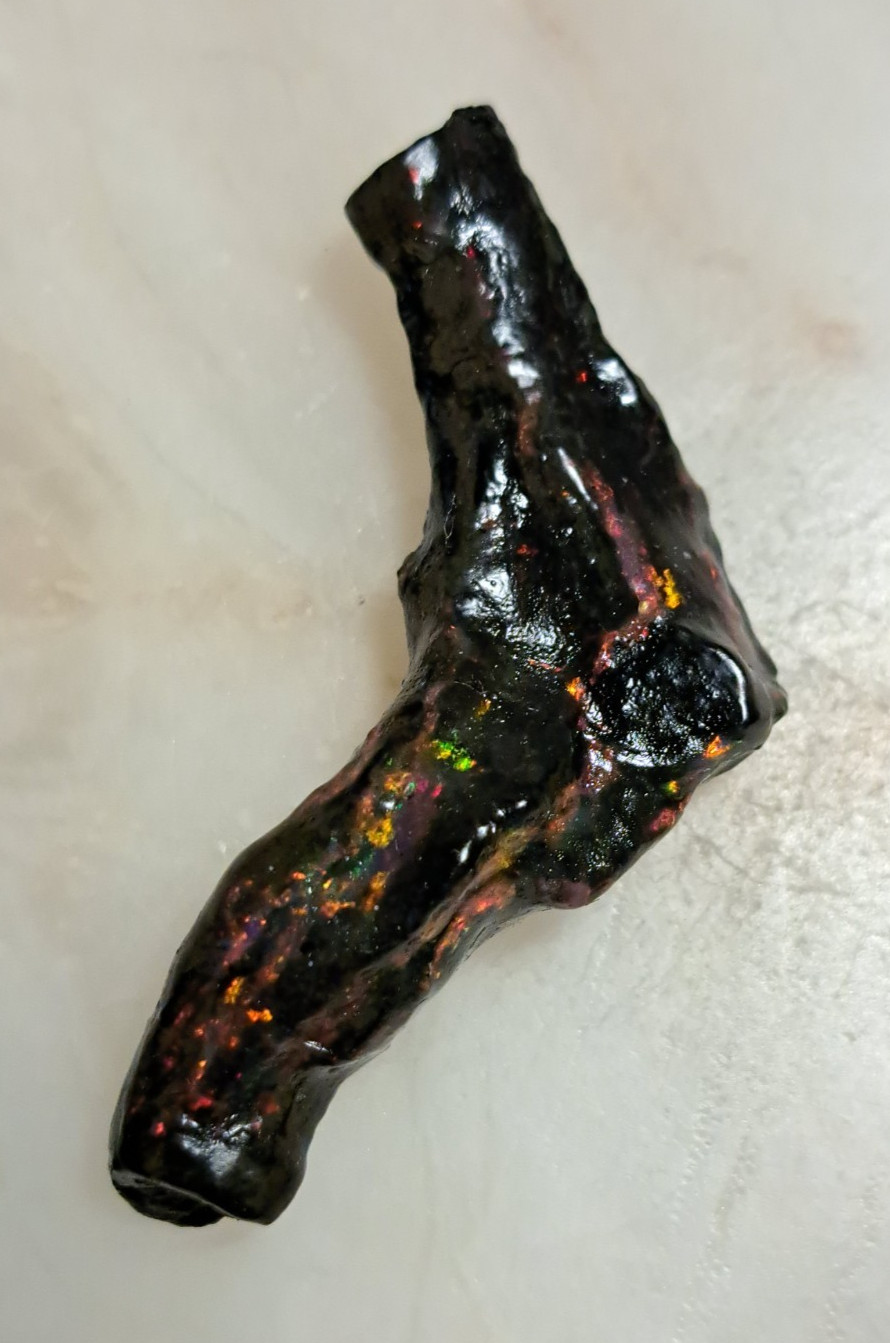 Huge Multicolor 38.52ct Indonesian Wood Opal Fossil Red, Green, & Yellow Flashes