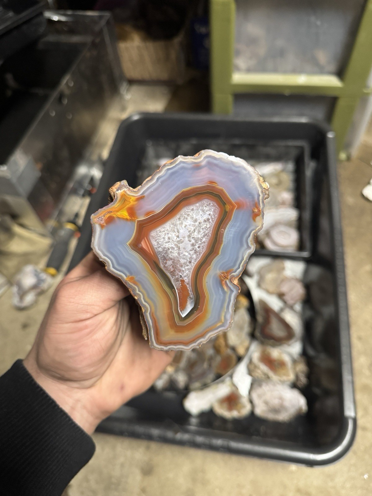 Condor Agate Half Nodule – 14 oz Polished Collector Specimen | Argentina
