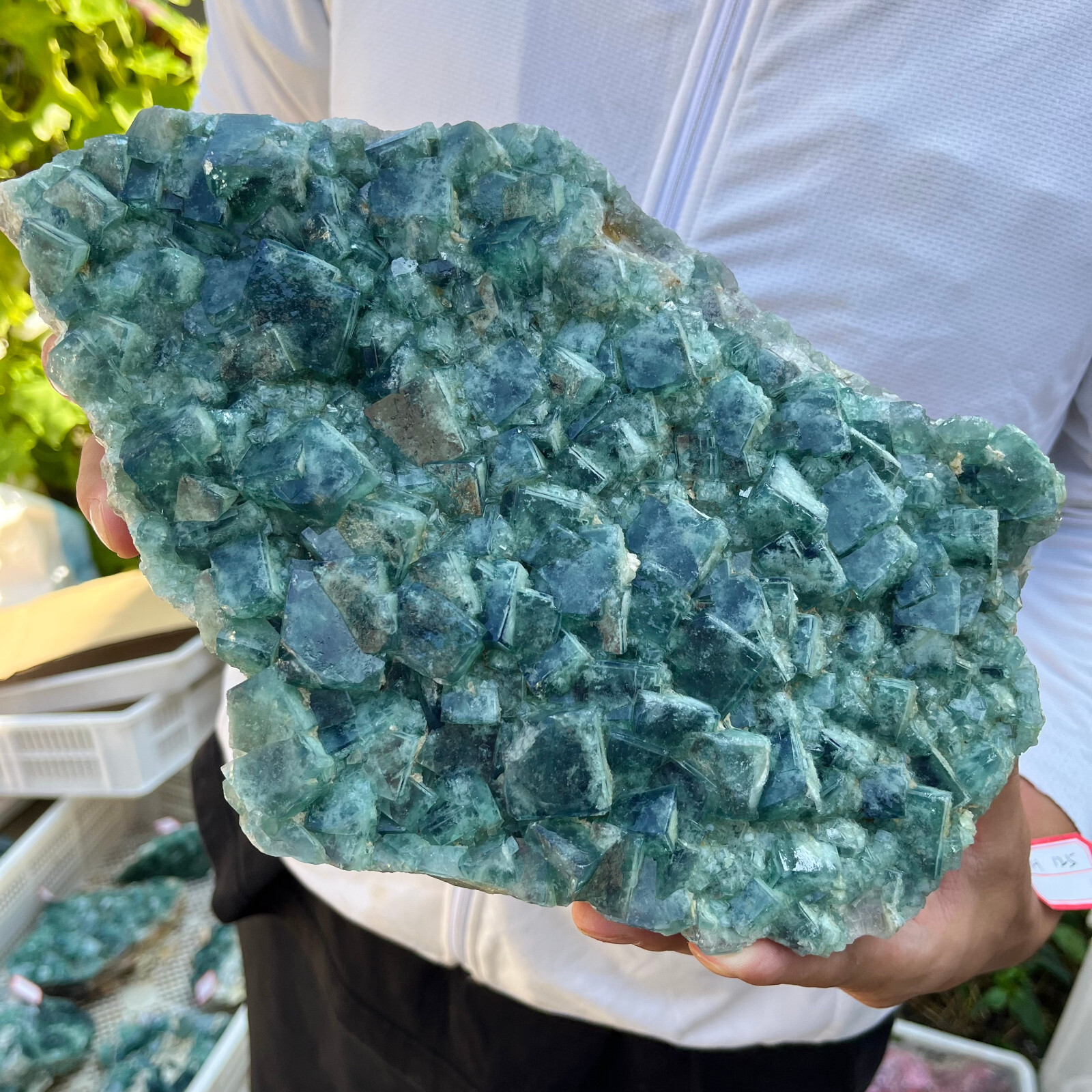 9.7lb Large Natural green cubic fluorite quartz crystal cluster mineral specimen