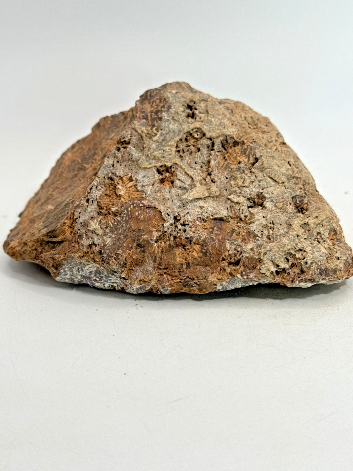 Beautiful Spider Jasper Chrysanthemum Specimen 529 Grams