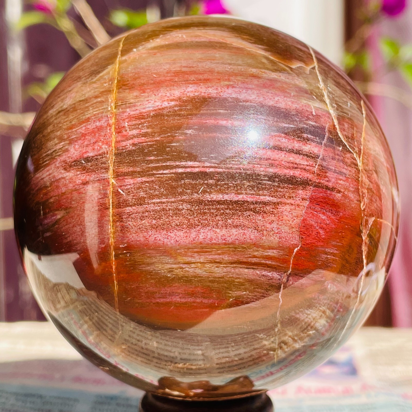 640g Natural Red Petrified Wood Crystal Ball Fossil Polished Sphere Specimen