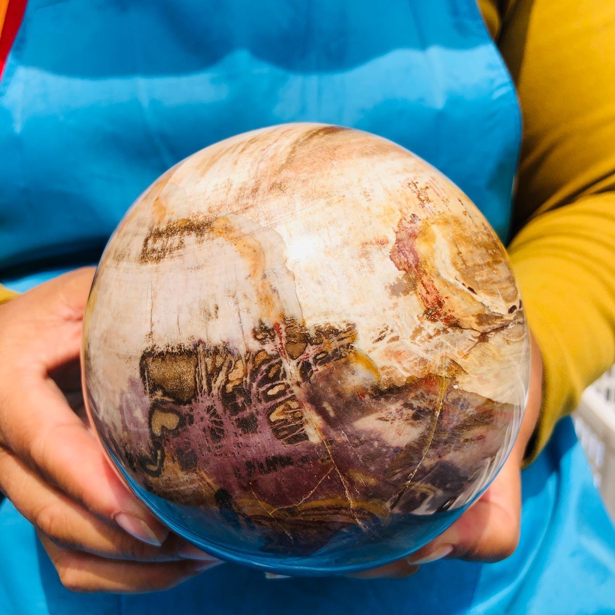 4.59LB Natural Petrified Wood Sphere Polished Crystal Ball reiki healing