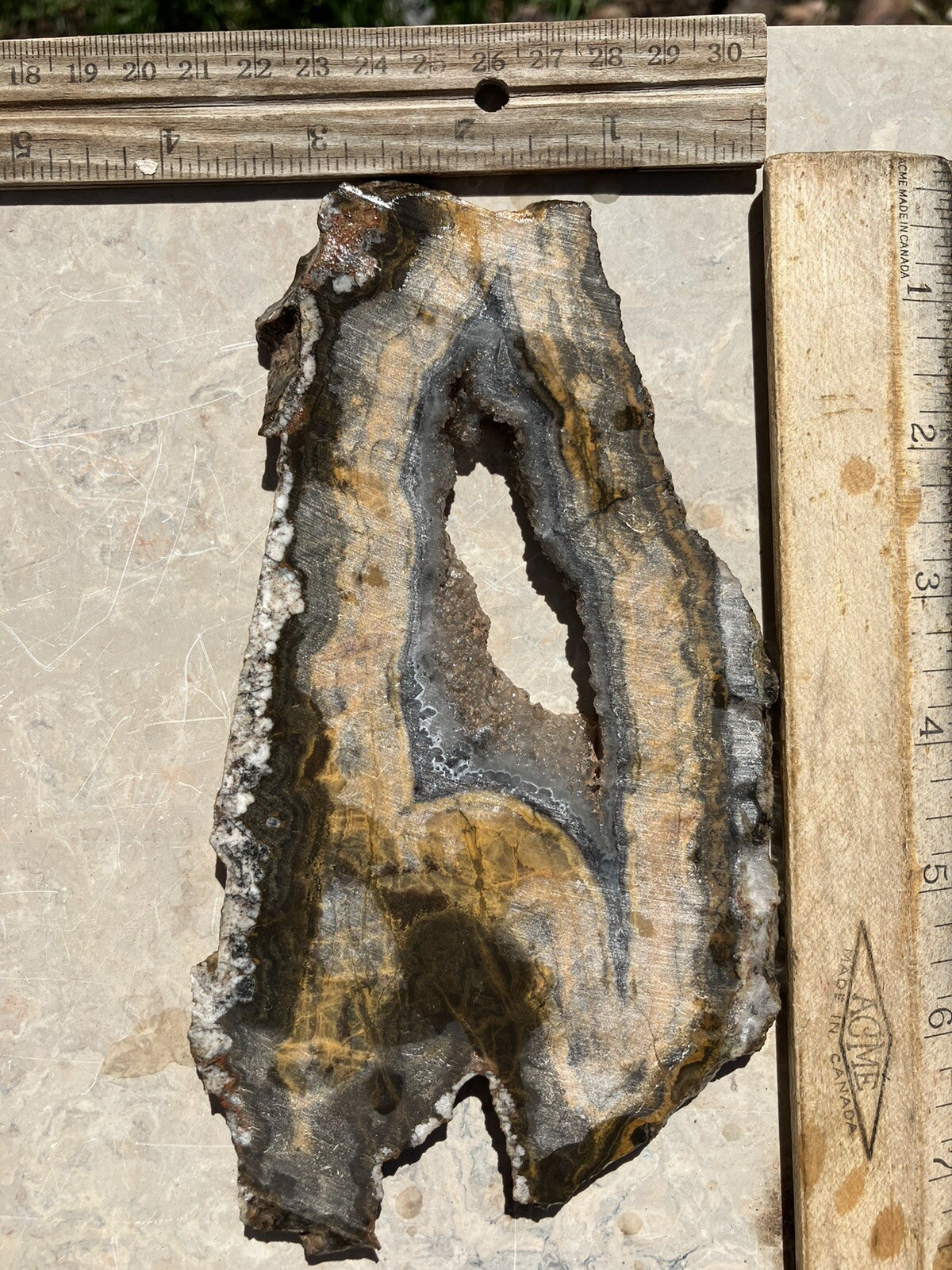 Black And Gold Agate Slab (New Mexico)