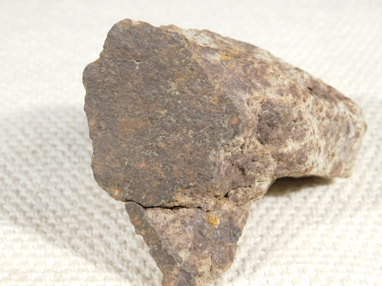 Larger! Classified NWA 8245 METEORITE 100% Natural! Erfoud, Morocco 223gr