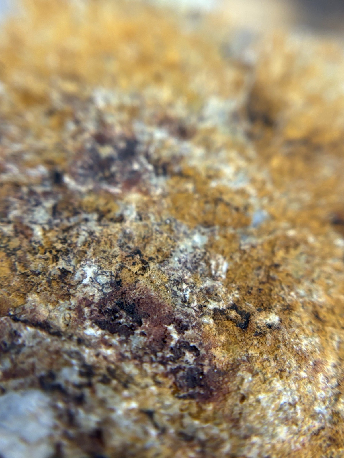 5 lb CALIFORNIA GOLD ORE “SMALLS” Mined from California’s Historic gold region.