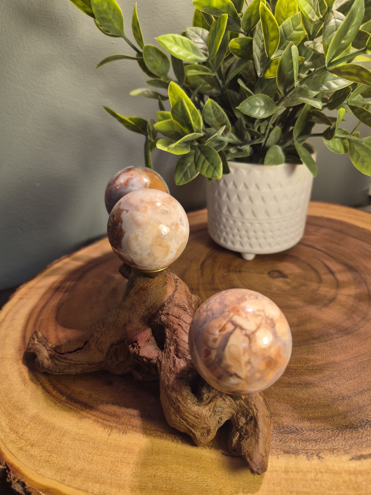 Drift Wood Stand Holds 3 Sm-Med Spheres