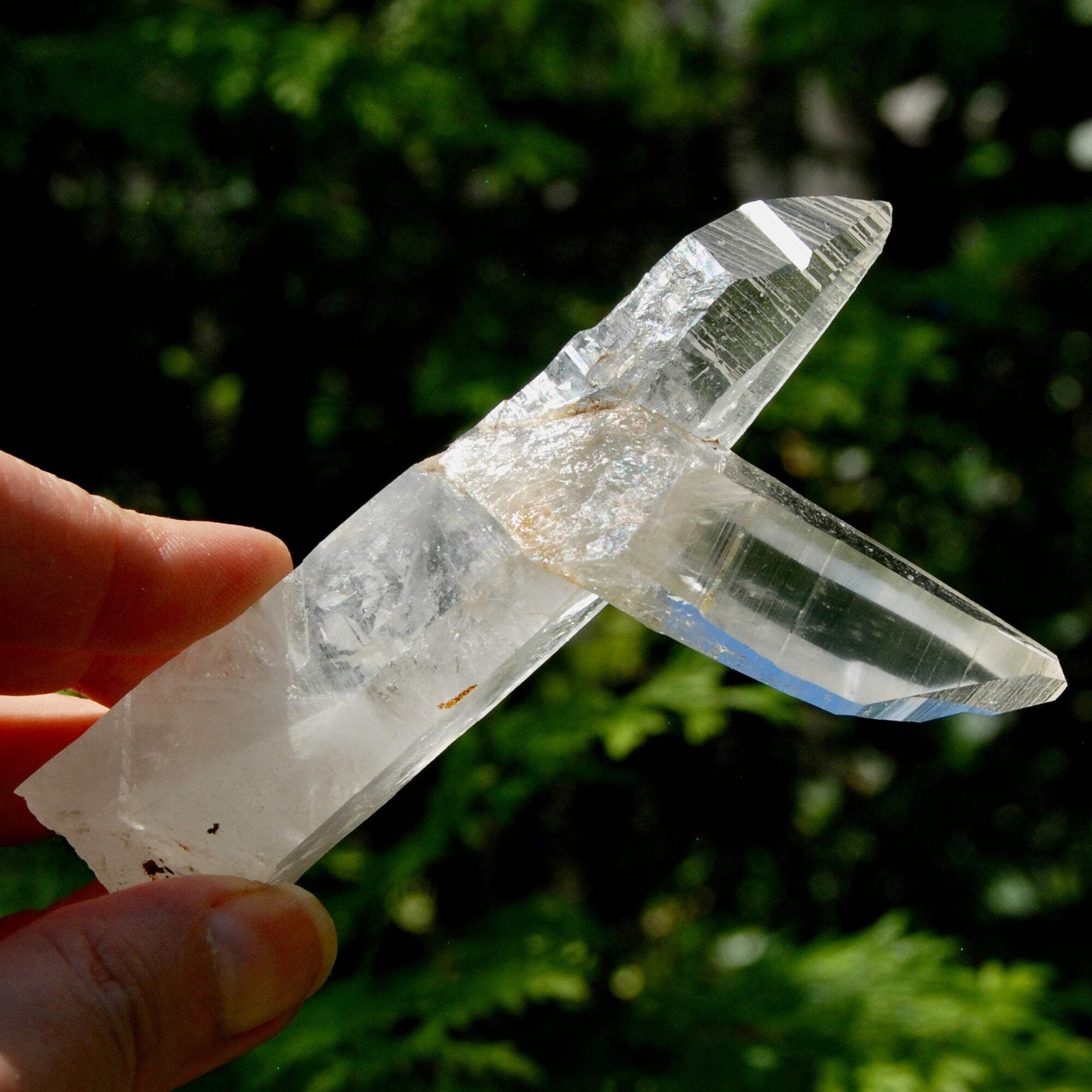 Lemurian Quartz Crystal Starbrary – 4in 106g Tantric Twin Flame Record Keeper, C