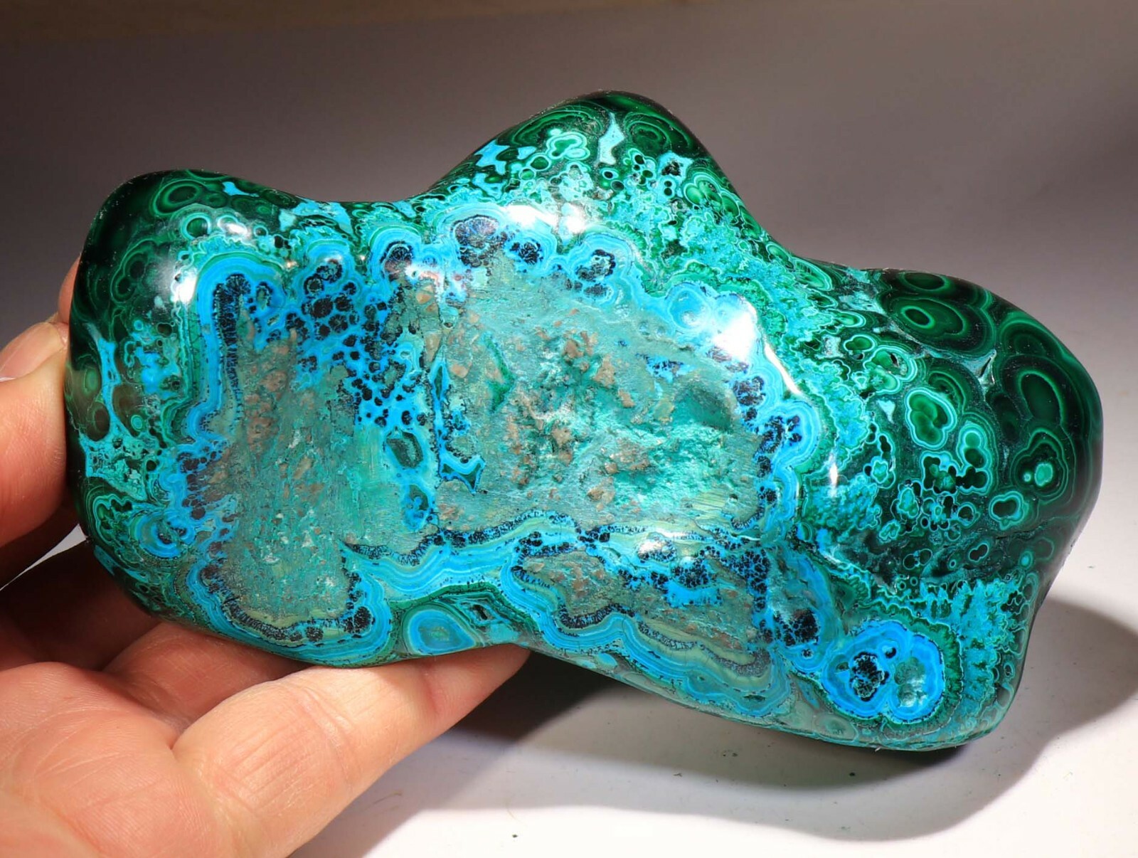 5.25″ Top Quality Vivid Green Malachite w/Blue Chrysocolla , Congo! CR822