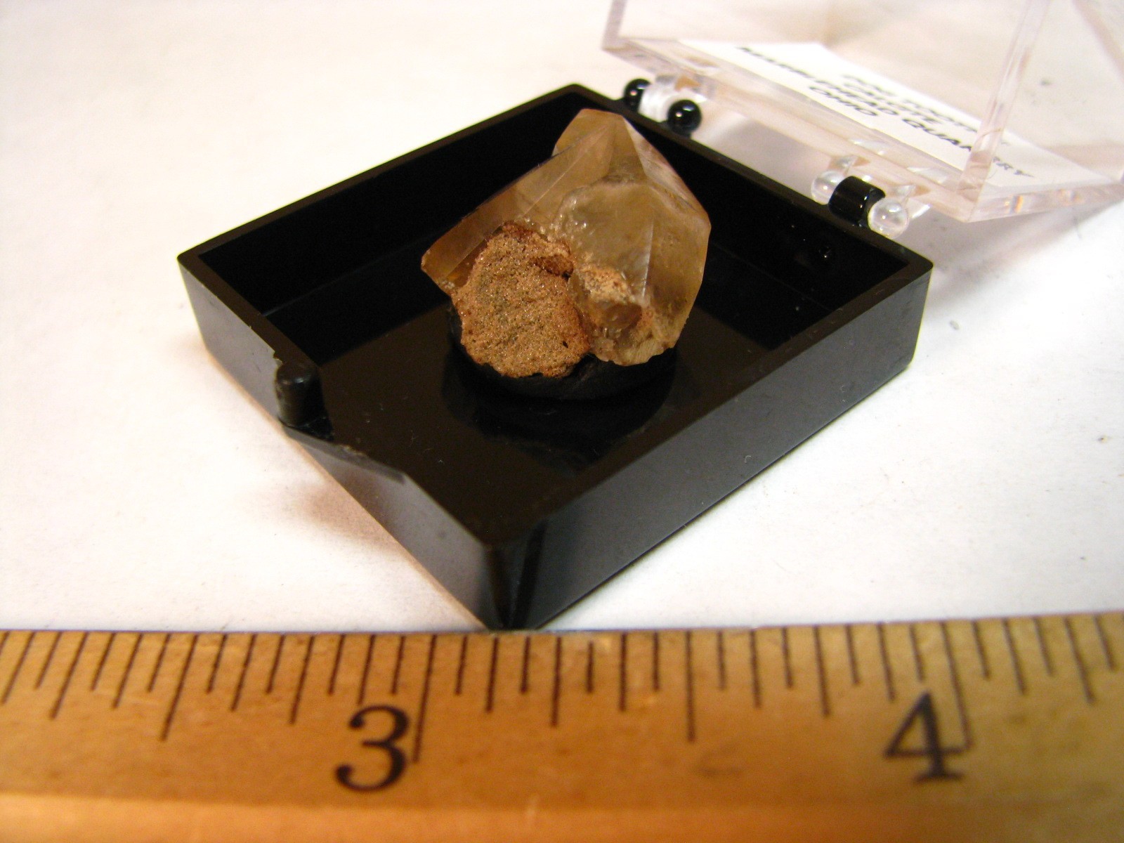 GOLDEN DOGTOOTH CALCITE CRYSTALS THUMBNAIL IN CASE MARBLEHEAD QUARRY OHIO #037