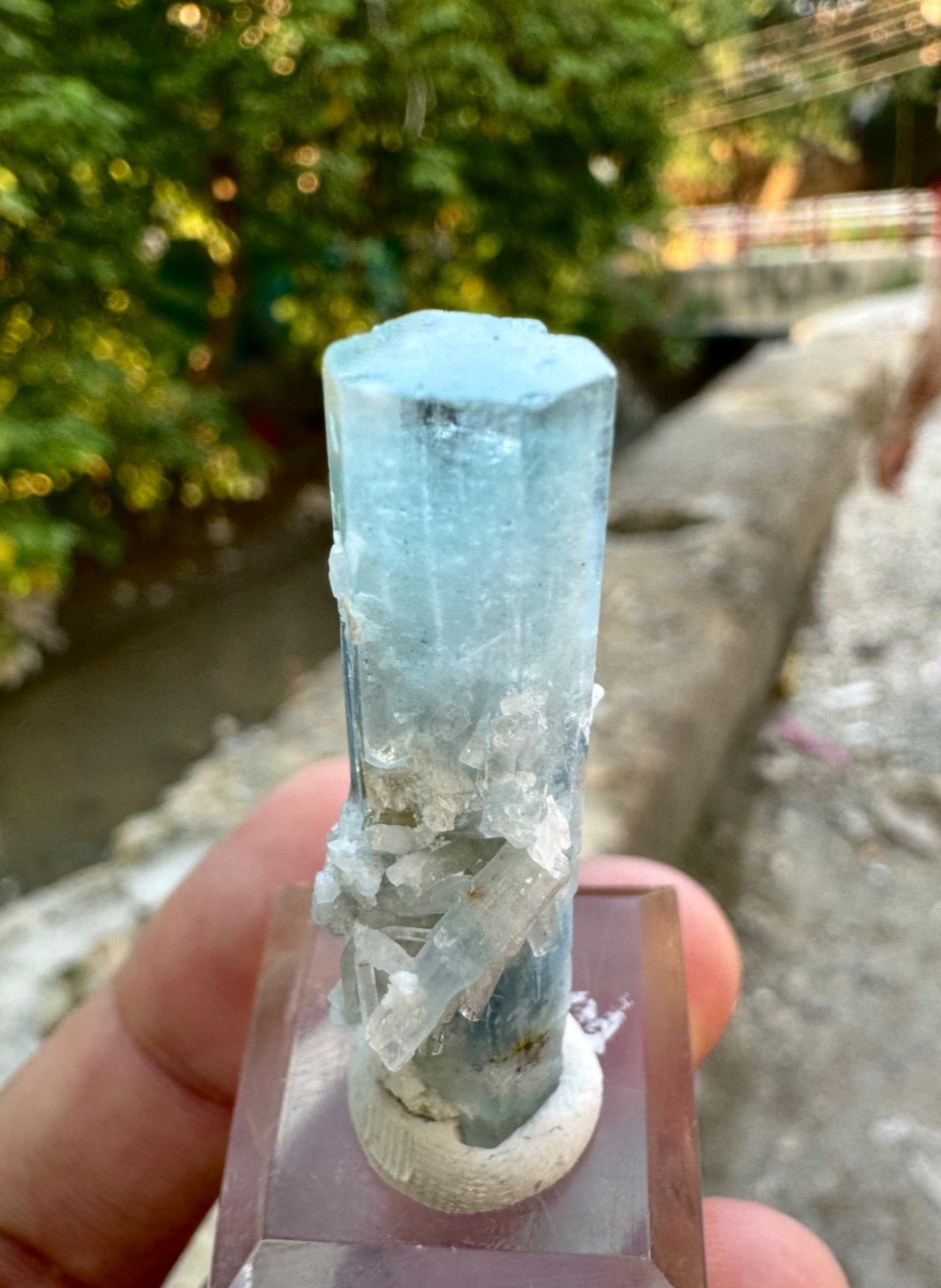 Natural Sky Blue Terminated Aquamarine Crystal , 33 Carats @ Minerals