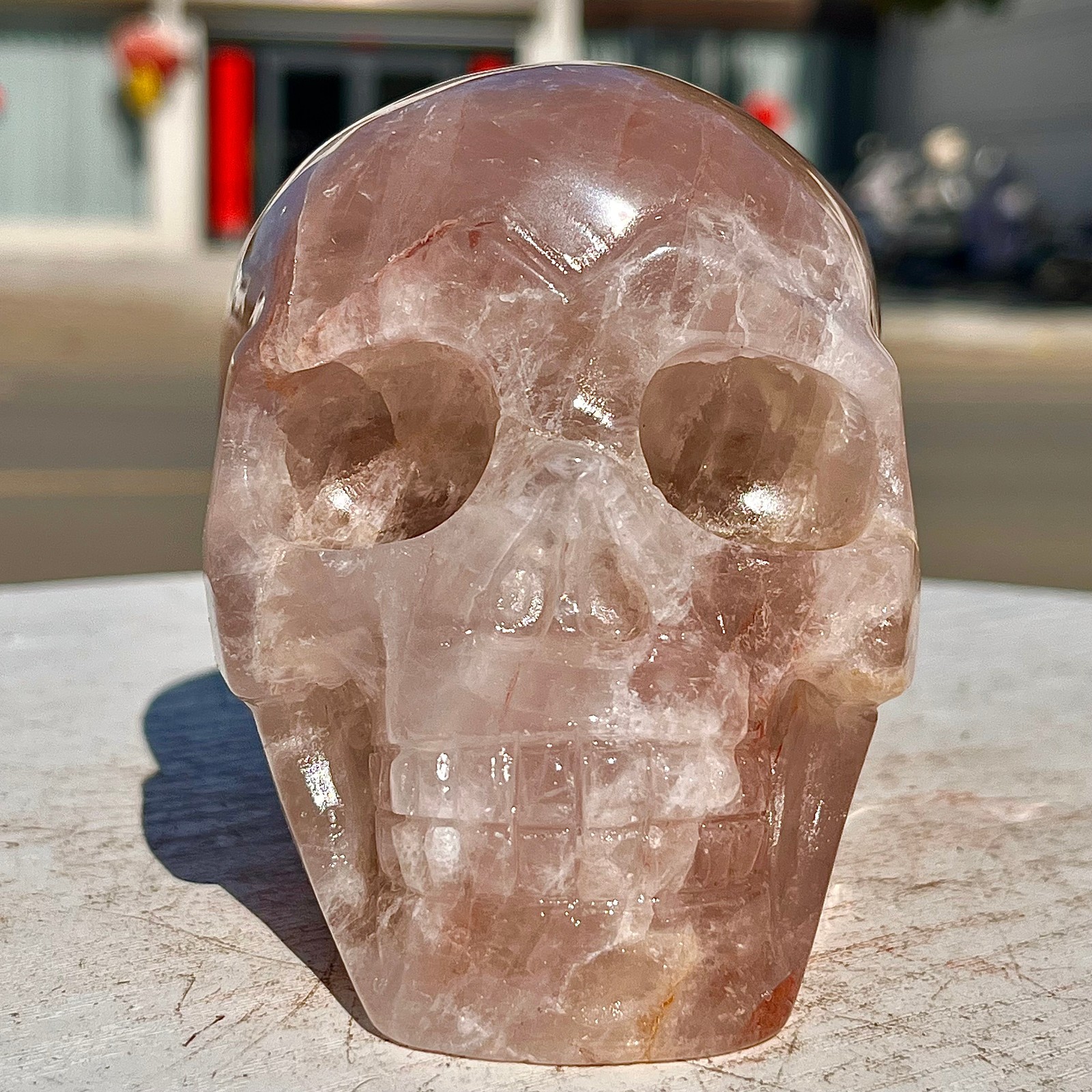 2.71LB Red Gum Flower Skull Carving | Handmade Carving | Healing Energy