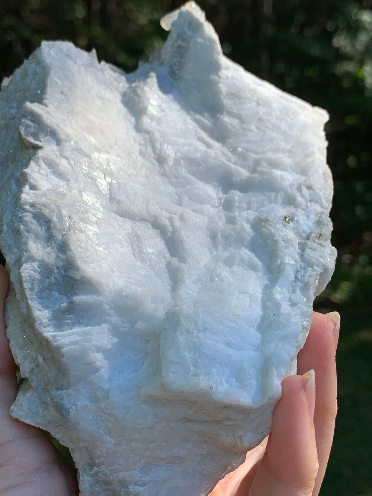 STRONTIANITE LARGE MUSEUM QUALITY SPECIMEN NATURAL TERMINATED CRYSTALS MATRIX
