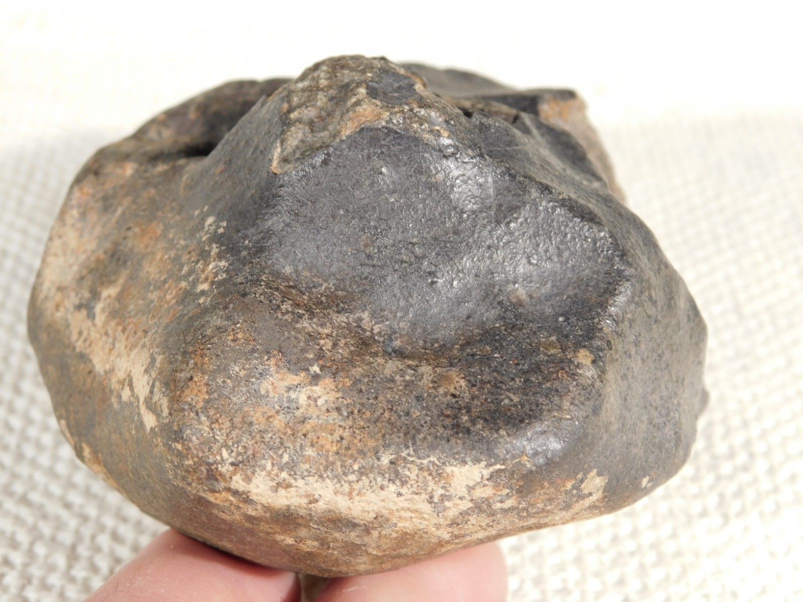 Big! N.W.A 869 Stony METEORITE with Dark Fusion Crust and DEEP REGMAGLYPTS 880gr