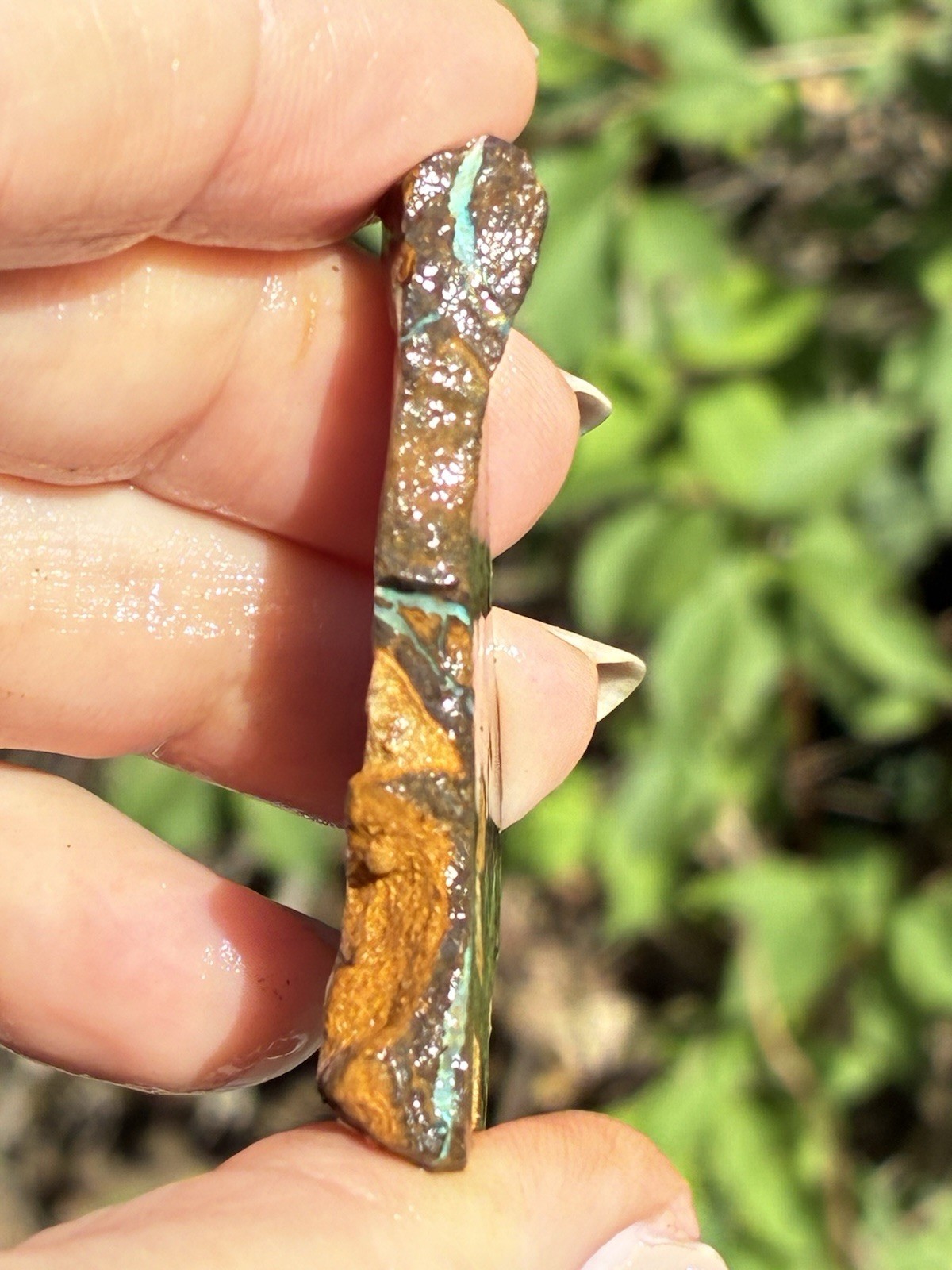 Beautiful 88ct Large Australian Boulder Opal Rough Loose Spider Specimen Green D
