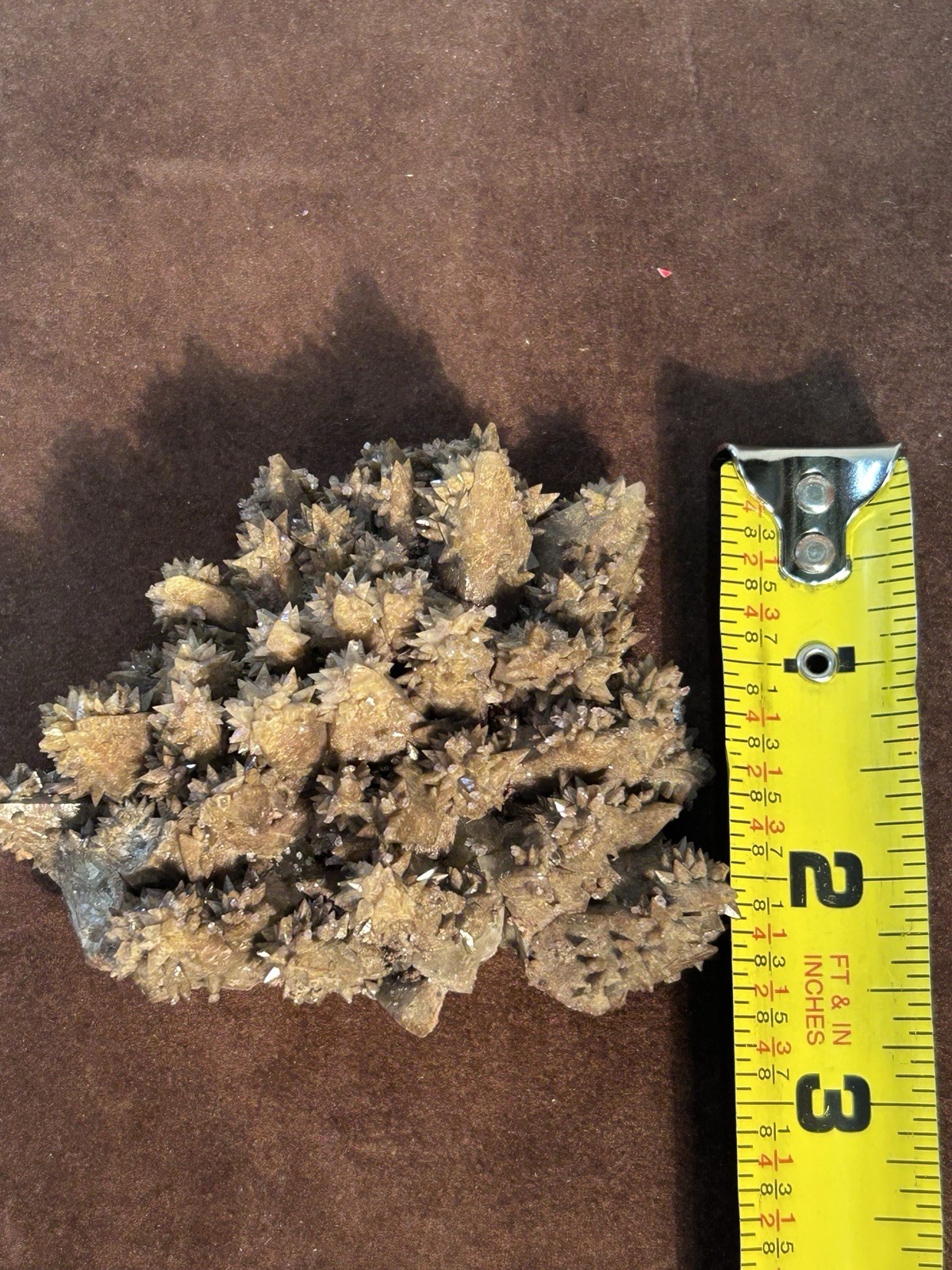 Dogtooth Calcite Cluster Santa Eulalia Mexico Old Labels Cabinet Specimen